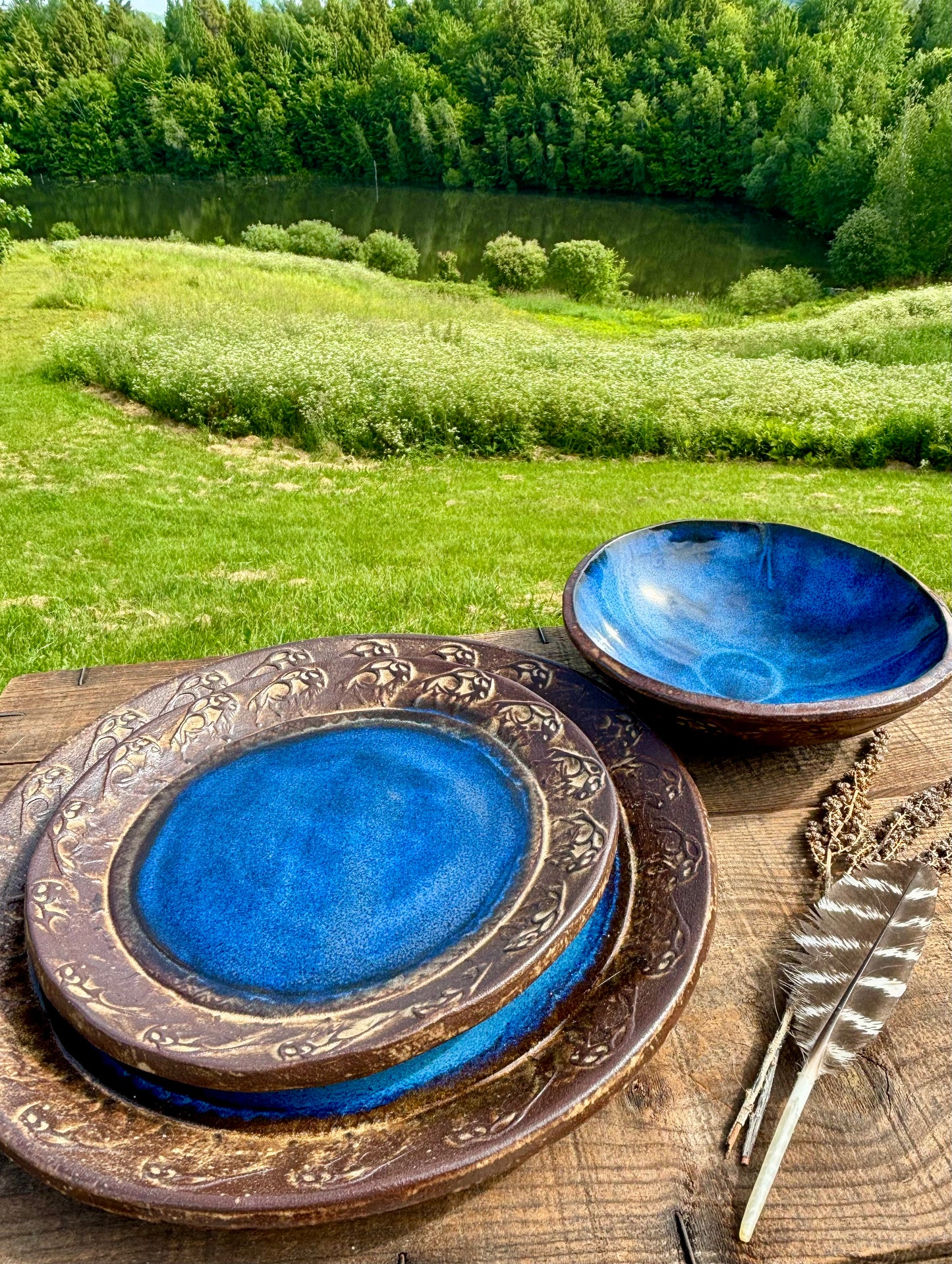 Rustic Wild Buffalo Dinnerware Set ~ Deep Blue & Brown Edging