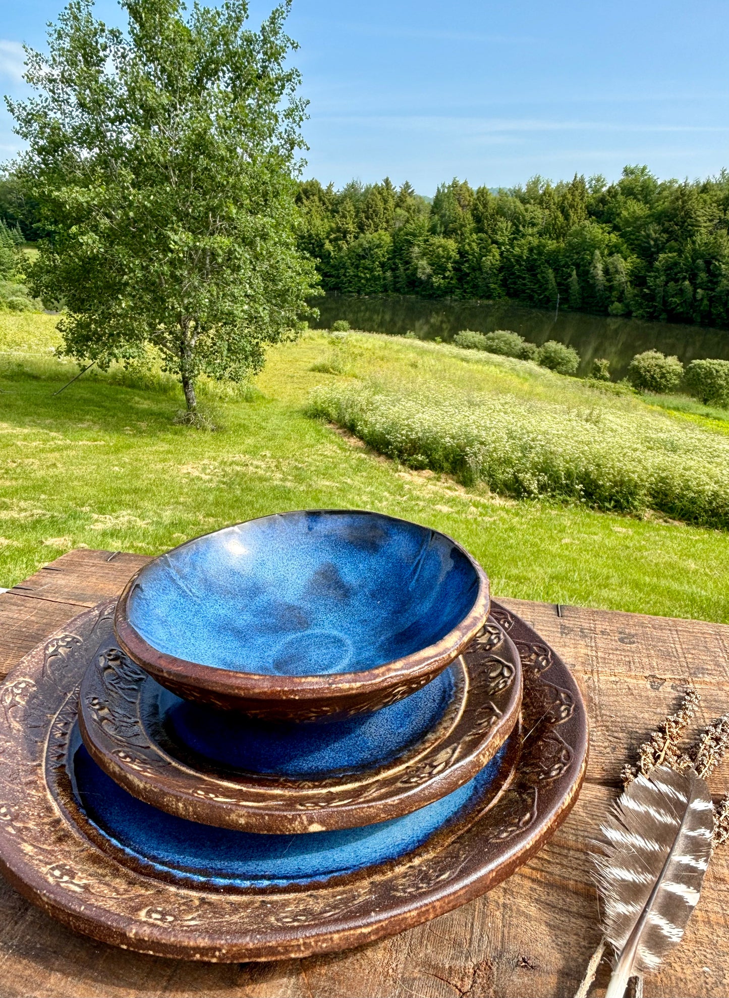 Rustic Wild Buffalo Dinnerware Set ~ Deep Blue & Brown Edging