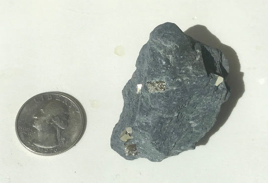 Natural Vermont Platinum Pyrite in Bedrock ~ 1.7 oz. ~ Sourced in West Brookfield VT