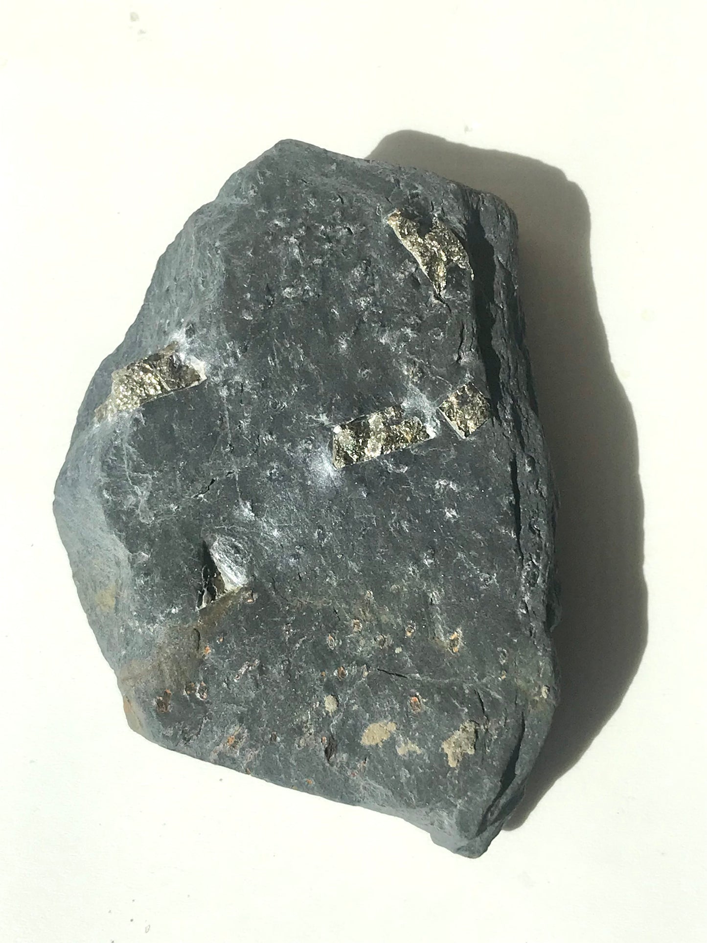 Natural Vermont Platinum Pyrite in Bedrock ~ 7.7 oz. ~ Sourced in West Brookfield VT