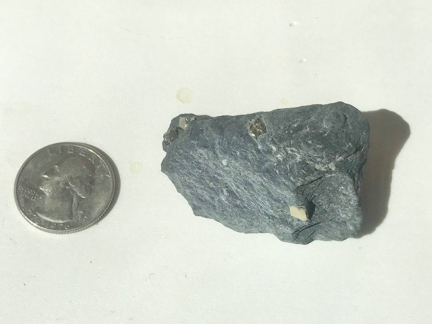 Natural Vermont Platinum Pyrite in Bedrock ~ 1.7 oz. ~ Sourced in West Brookfield VT