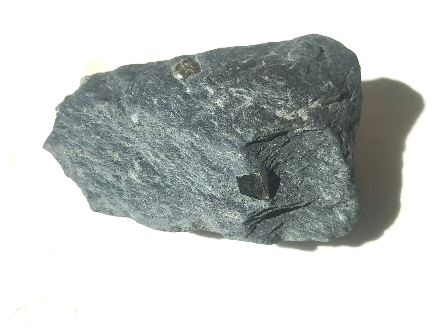 Natural Vermont Platinum Pyrite in Bedrock ~ 1.7 oz. ~ Sourced in West Brookfield VT