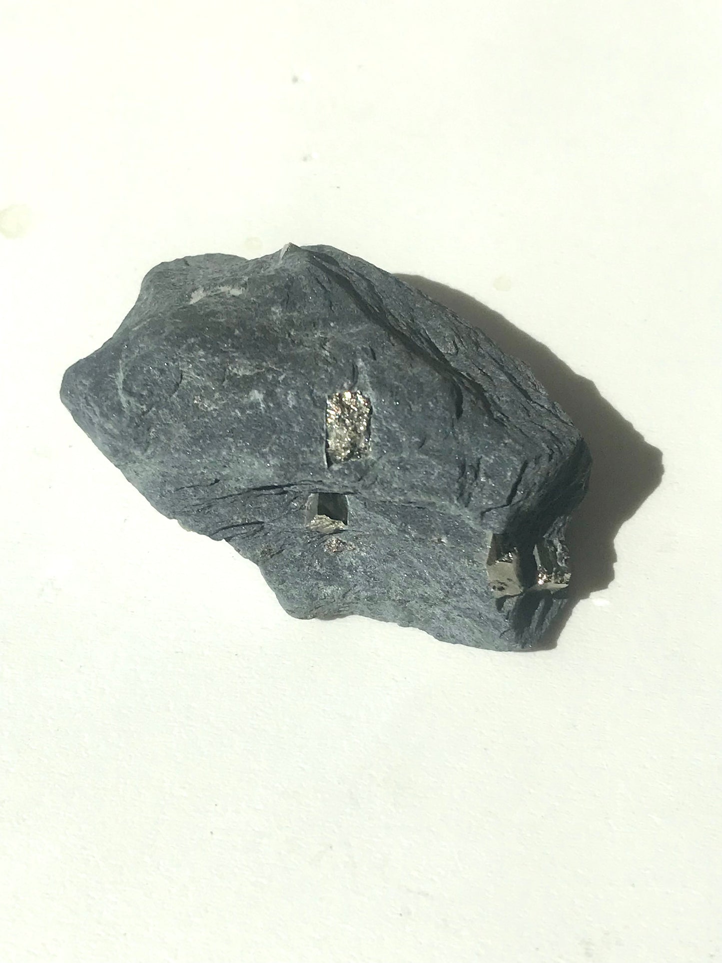 Natural Vermont Platinum Pyrite in Bedrock ~ 1.7 oz. ~ Sourced in West Brookfield VT