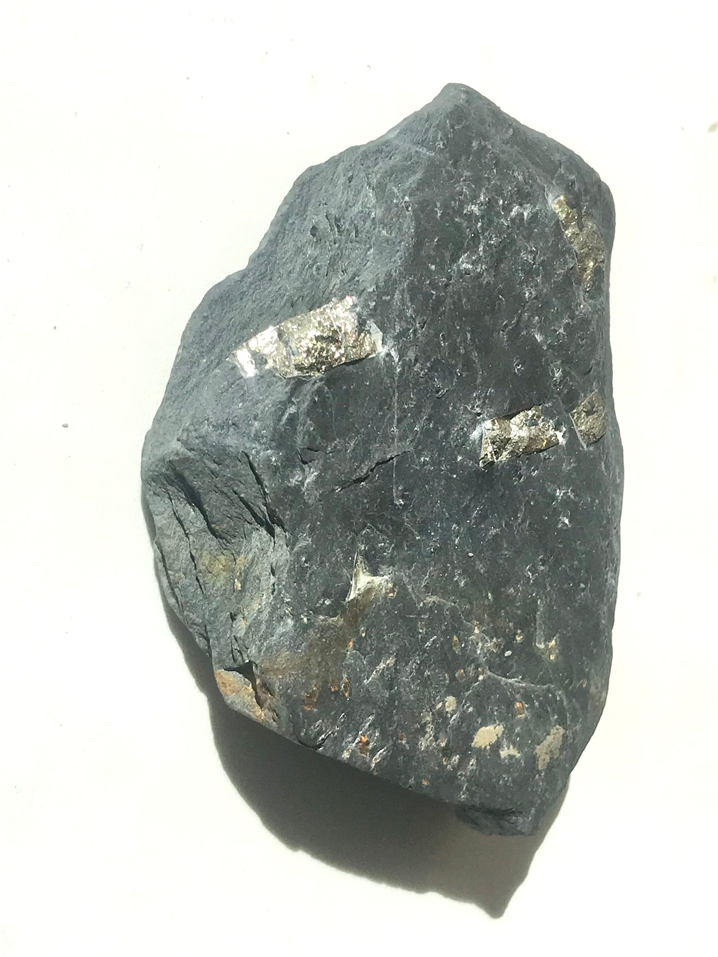 Natural Vermont Platinum Pyrite in Bedrock ~ 7.7 oz. ~ Sourced in West Brookfield VT