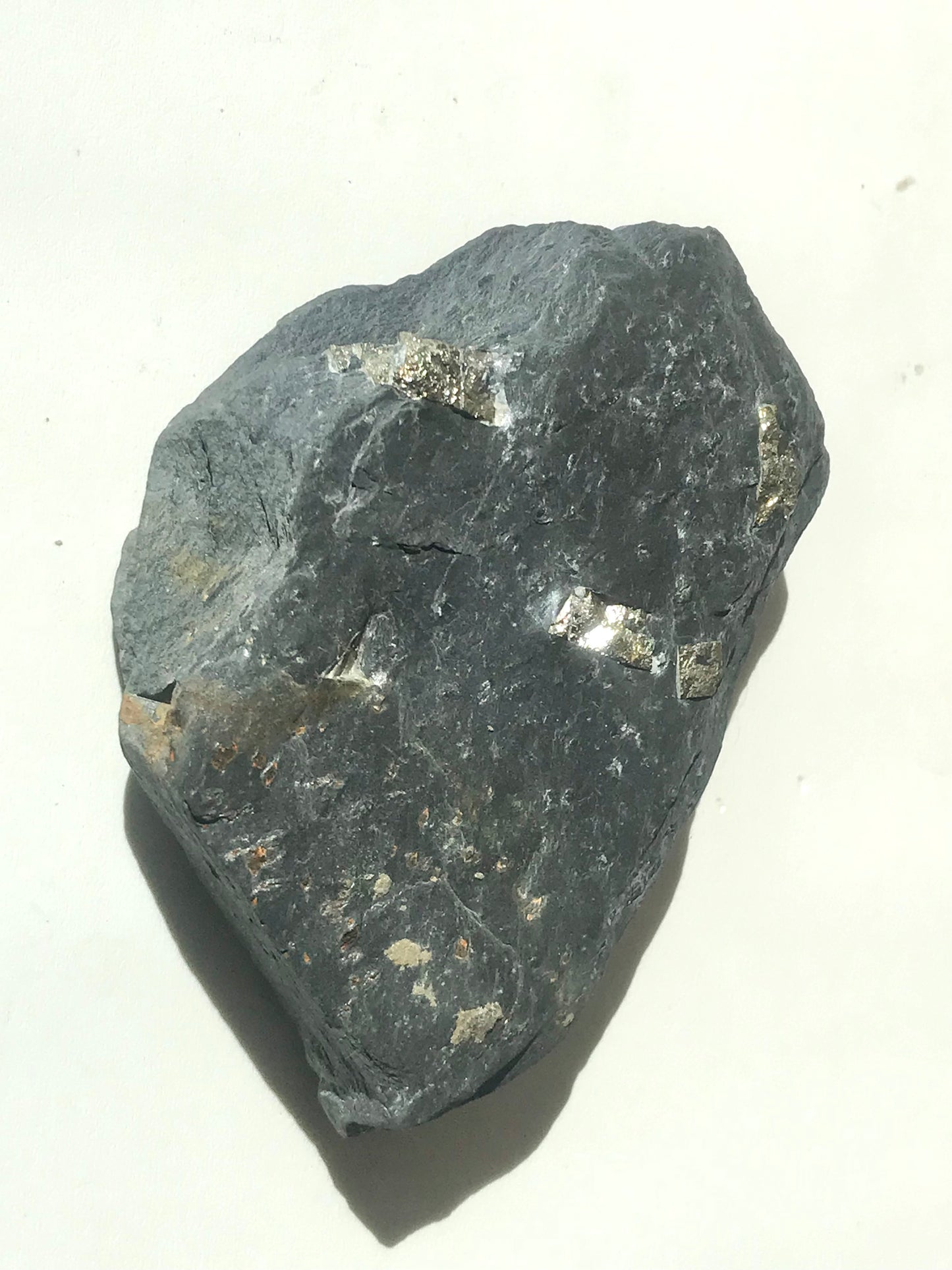 Natural Vermont Platinum Pyrite in Bedrock ~ 7.7 oz. ~ Sourced in West Brookfield VT