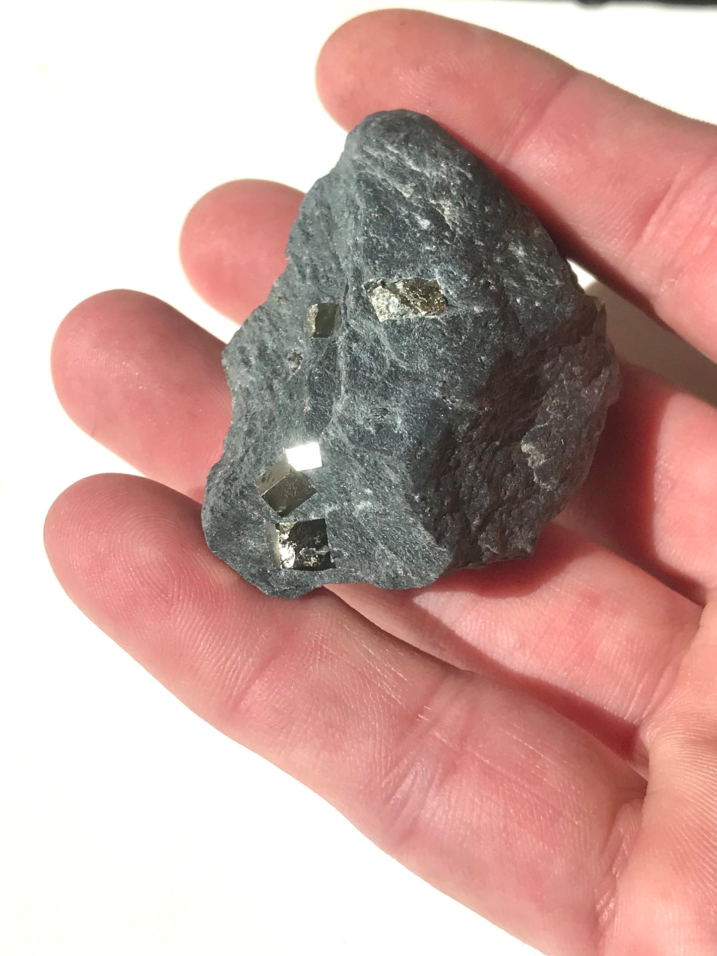 Natural Vermont Platinum Pyrite in Bedrock ~ 1.7 oz. ~ Sourced in West Brookfield VT