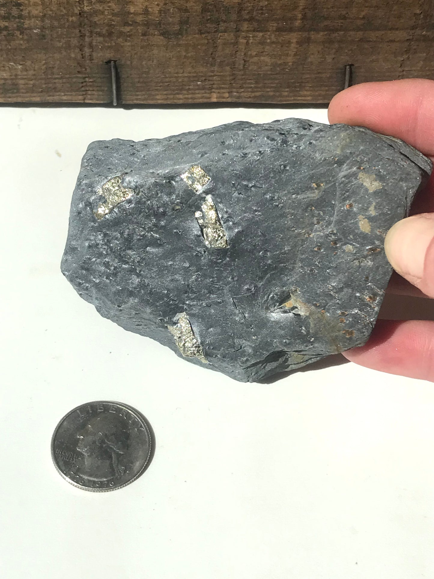 Natural Vermont Platinum Pyrite in Bedrock ~ 7.7 oz. ~ Sourced in West Brookfield VT