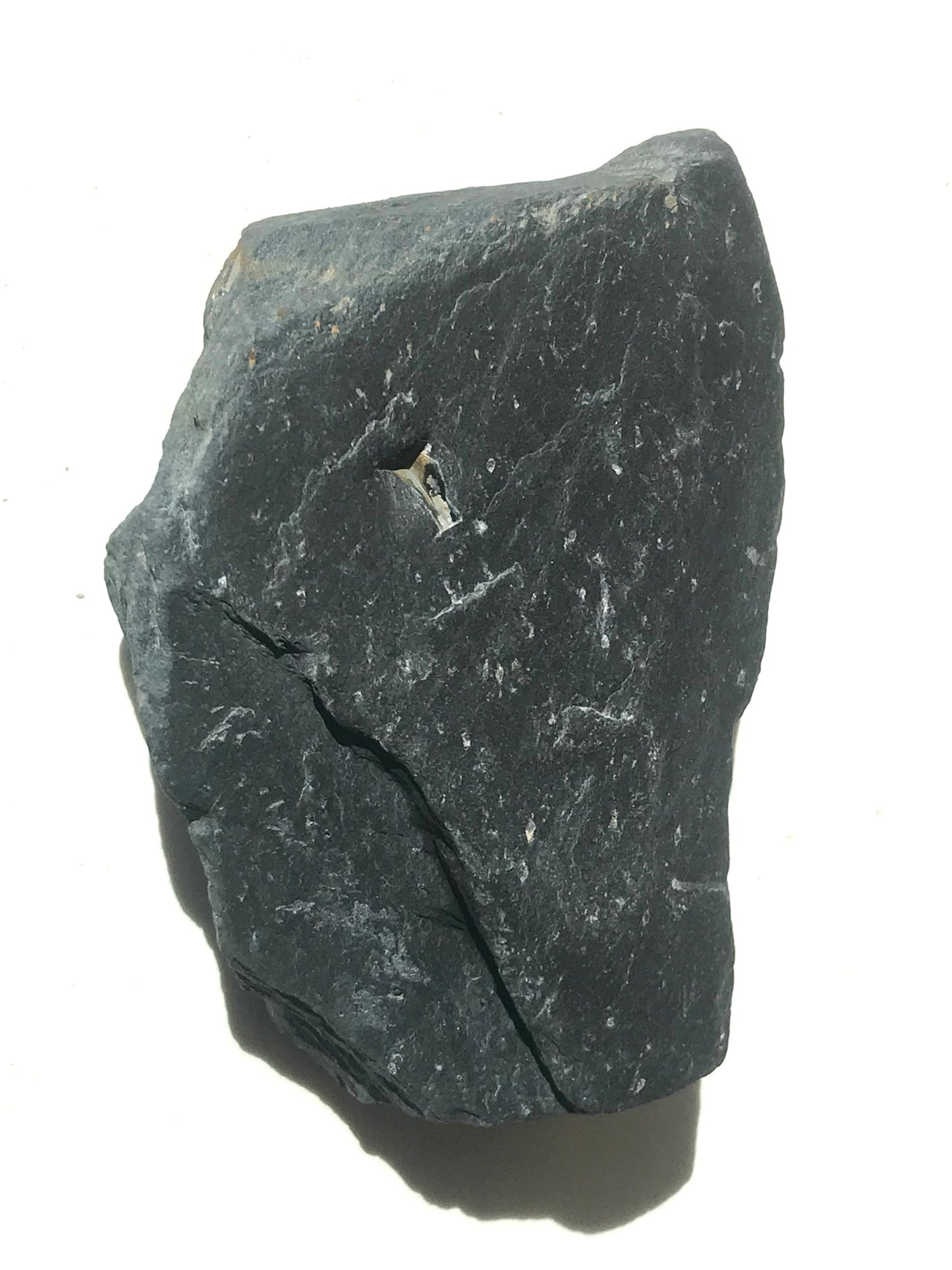 Natural Vermont Platinum Pyrite in Bedrock ~ 7.7 oz. ~ Sourced in West Brookfield VT