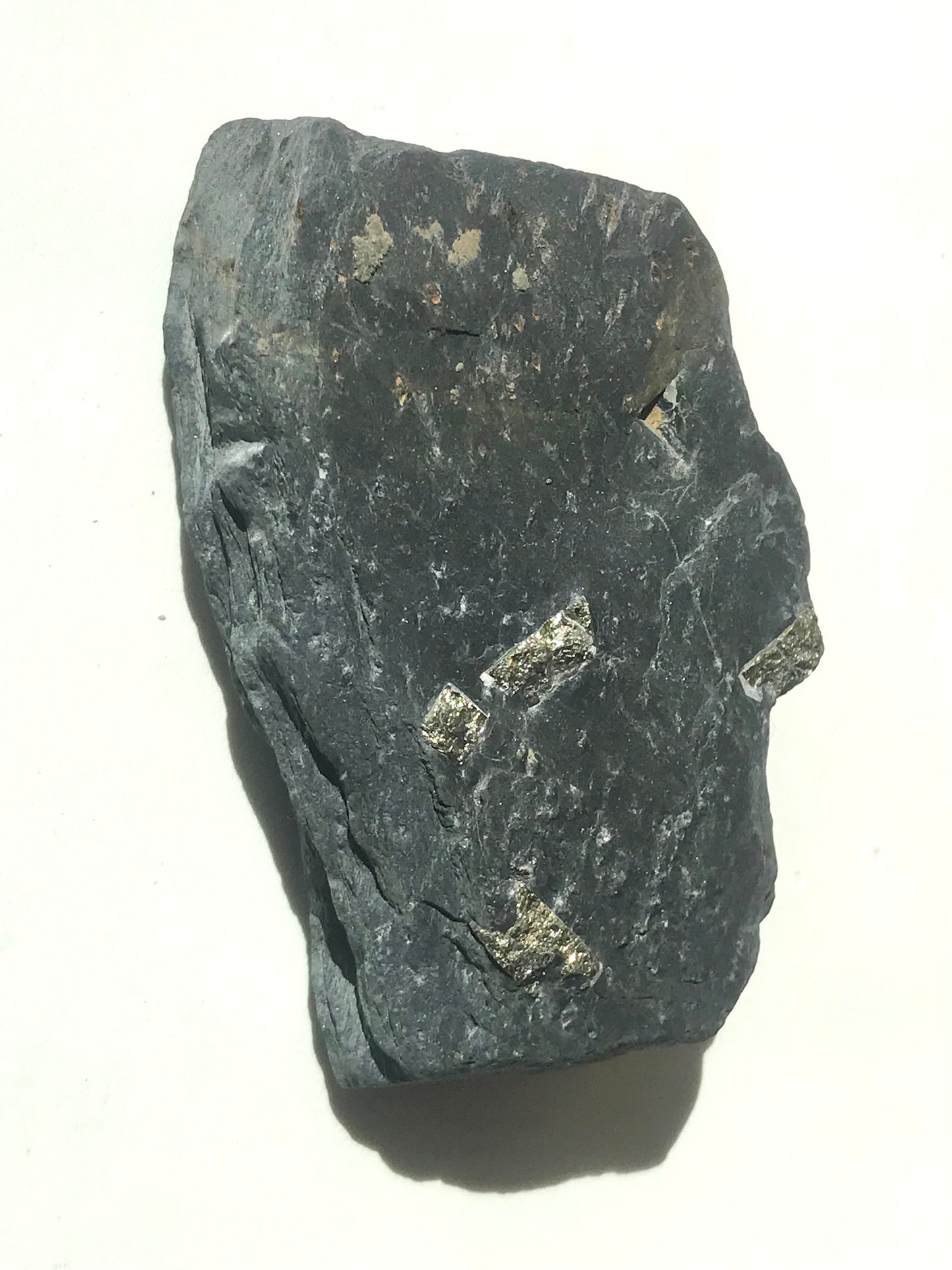 Natural Vermont Platinum Pyrite in Bedrock ~ 7.7 oz. ~ Sourced in West Brookfield VT