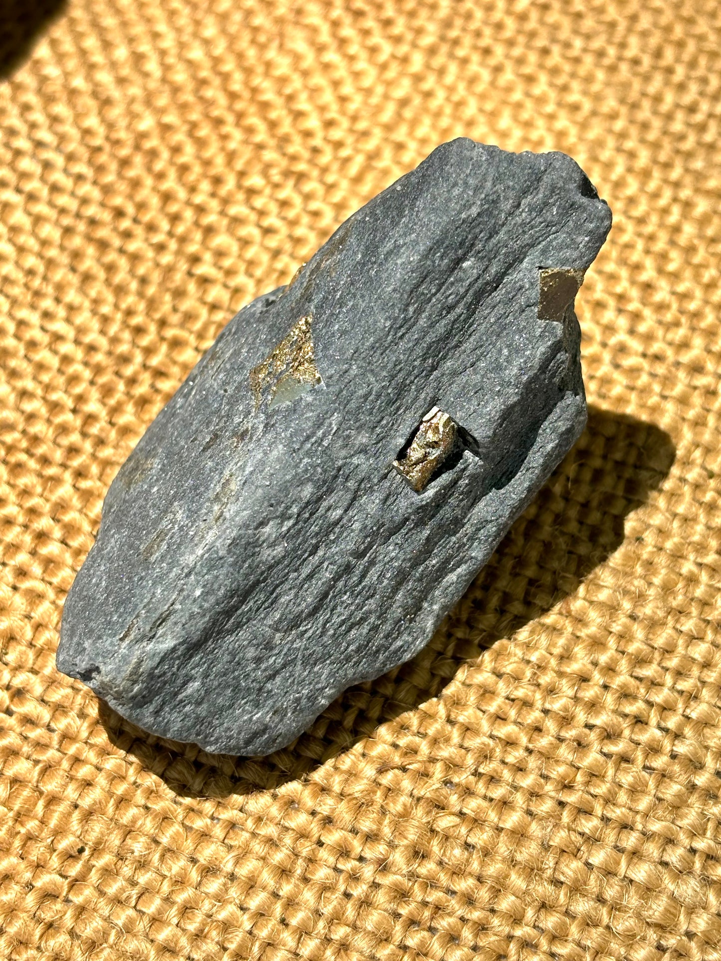 Natural Vermont Platinum Pyrite in Bedrock ~ Sourced in West Brookfield VT