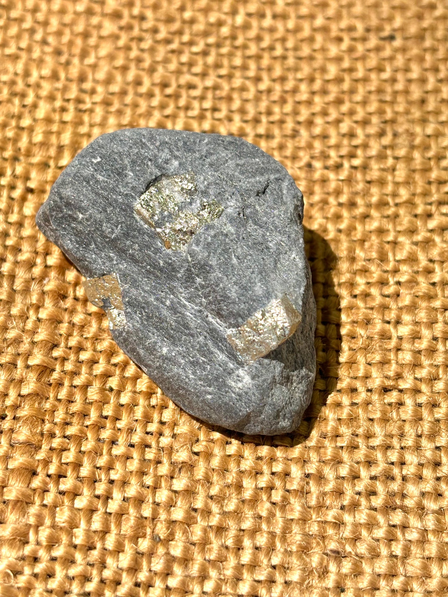 Natural Vermont Platinum Pyrite in Bedrock ~ Sourced in West Brookfield VT