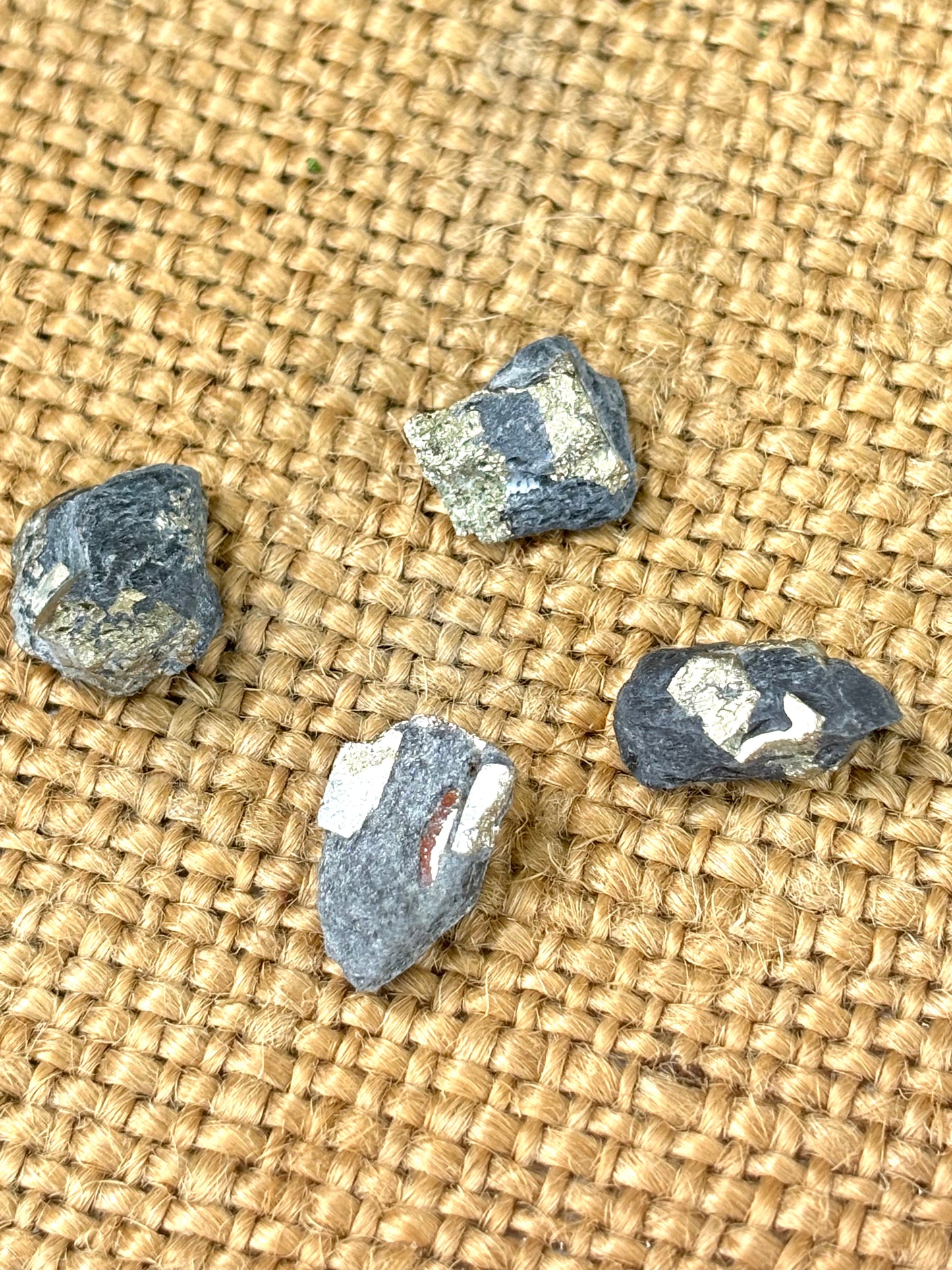 Natural Vermont Platinum Pyrite in Bedrock ~ Sourced in West Brookfield VT