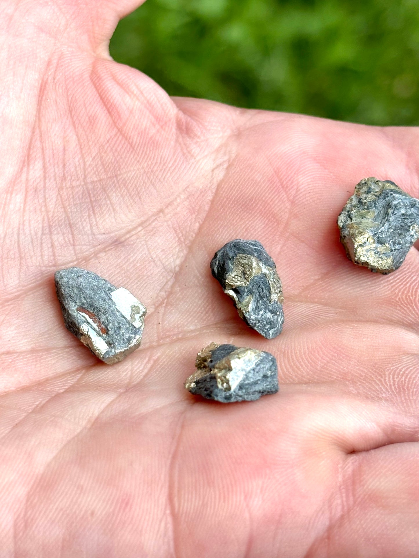 Natural Vermont Platinum Pyrite in Bedrock ~ Sourced in West Brookfield VT