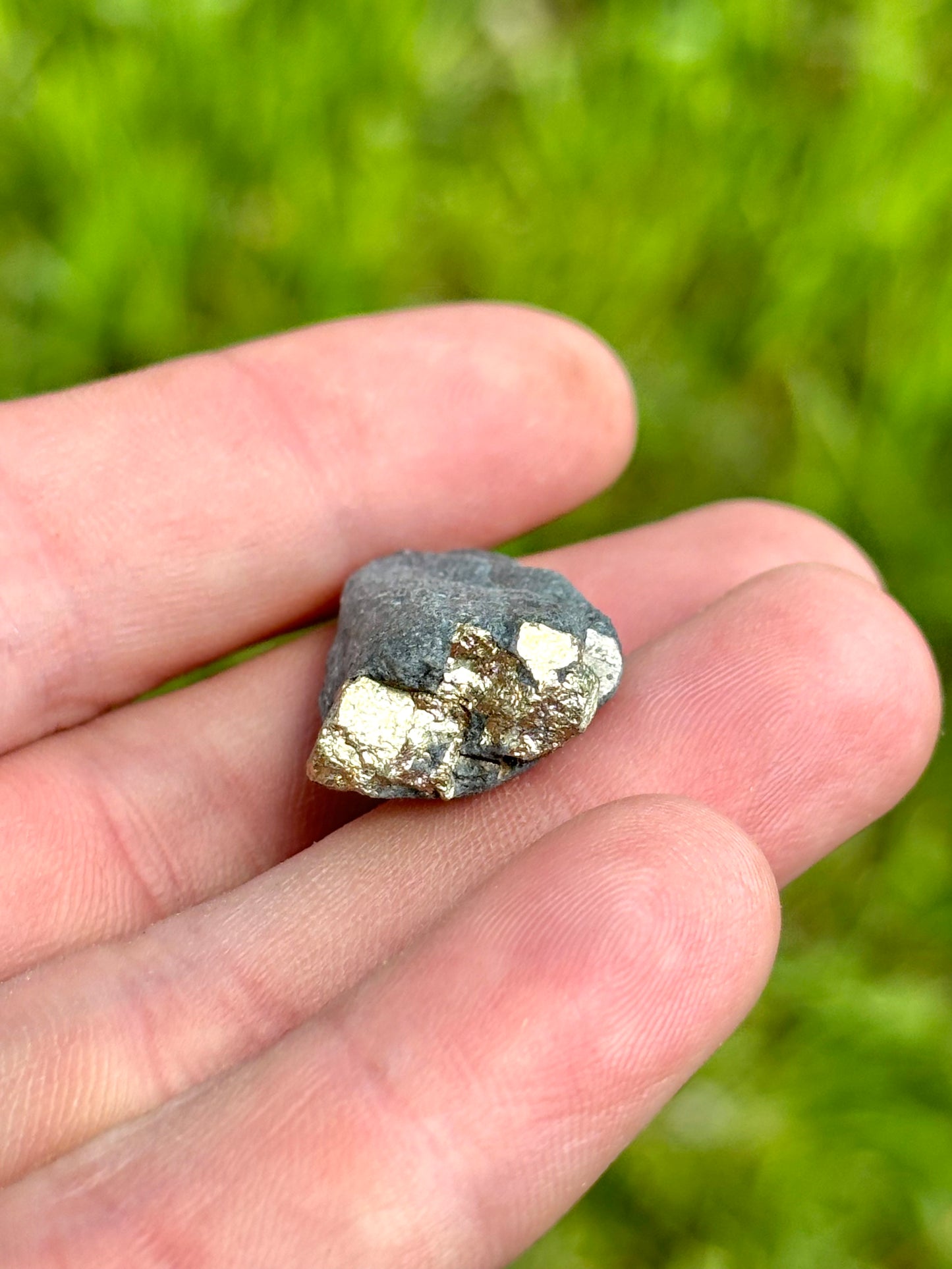 Natural Vermont Platinum Pyrite in Bedrock ~ Sourced in West Brookfield VT