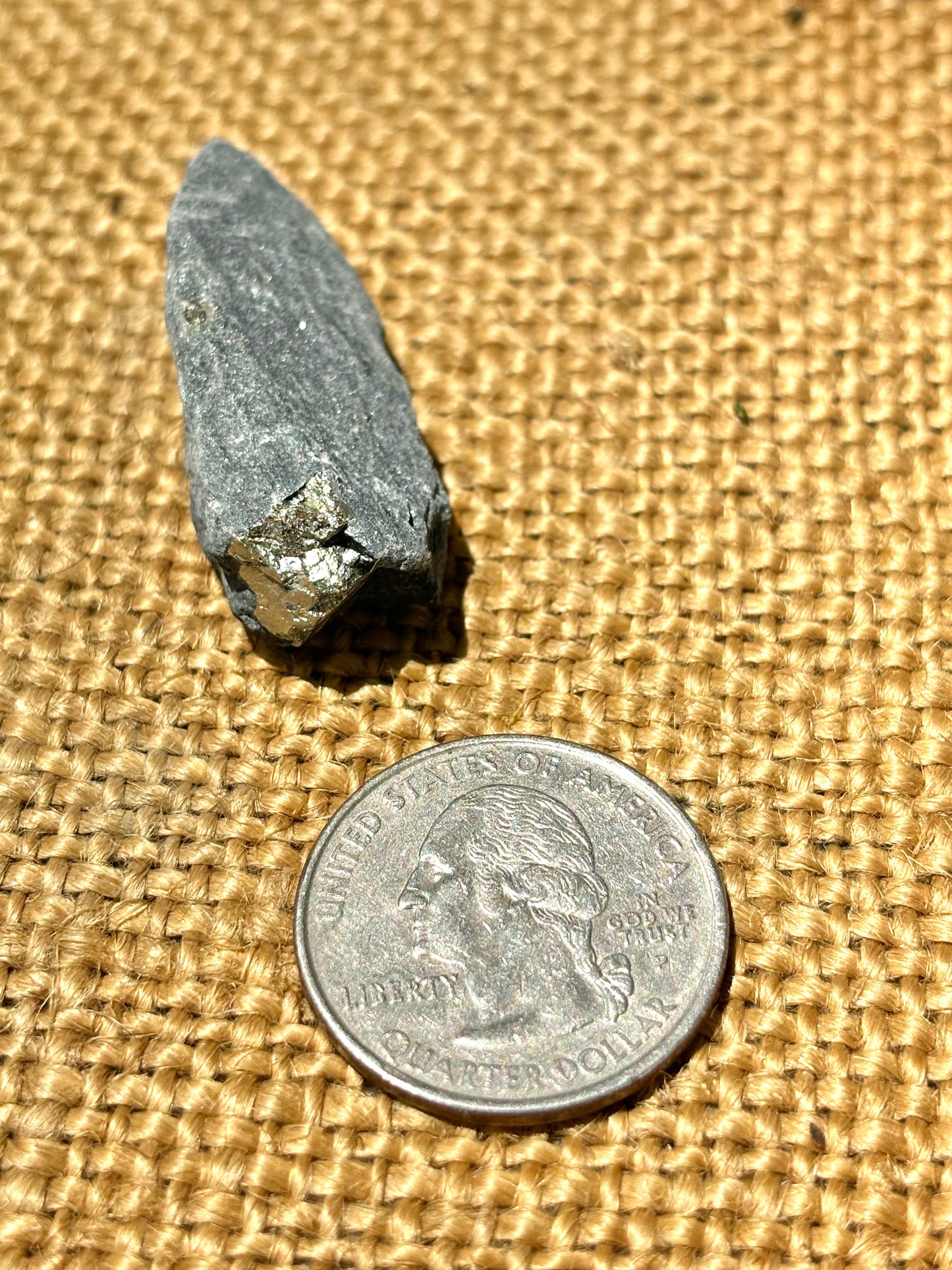 Natural Vermont Platinum Pyrite in Bedrock ~ Sourced in West Brookfield VT