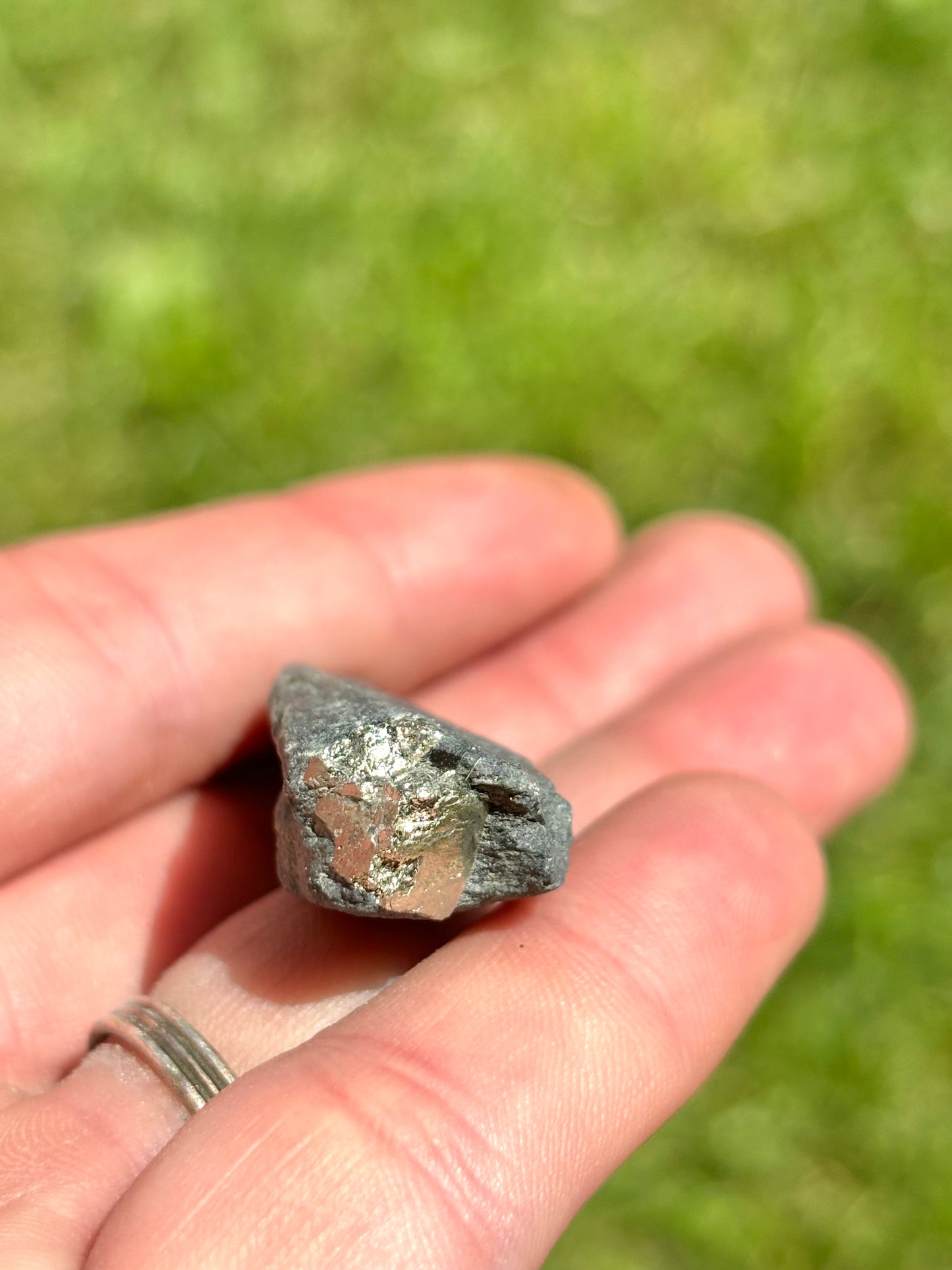 Natural Vermont Platinum Pyrite in Bedrock ~ Sourced in West Brookfield VT