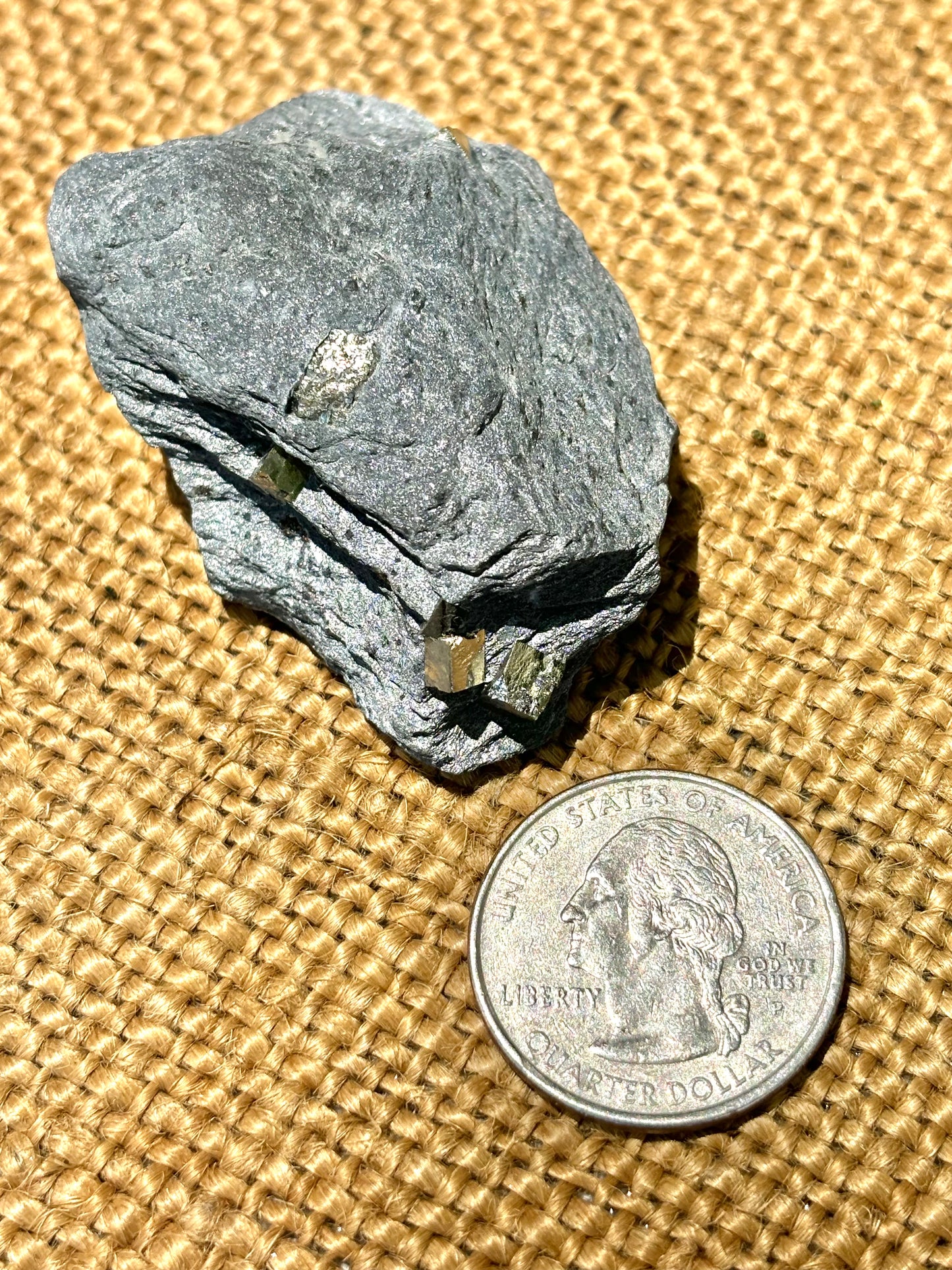 Natural Vermont Platinum Pyrite in Bedrock ~ Sourced in West Brookfield VT