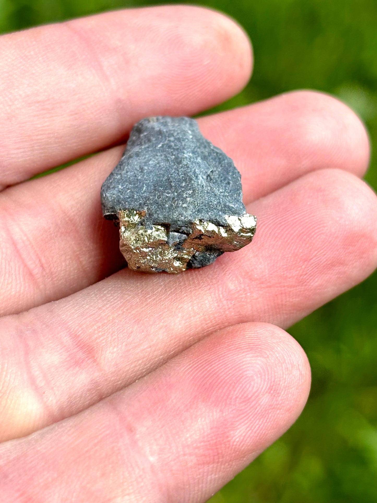 Natural Vermont Platinum Pyrite in Bedrock ~ Sourced in West Brookfield VT