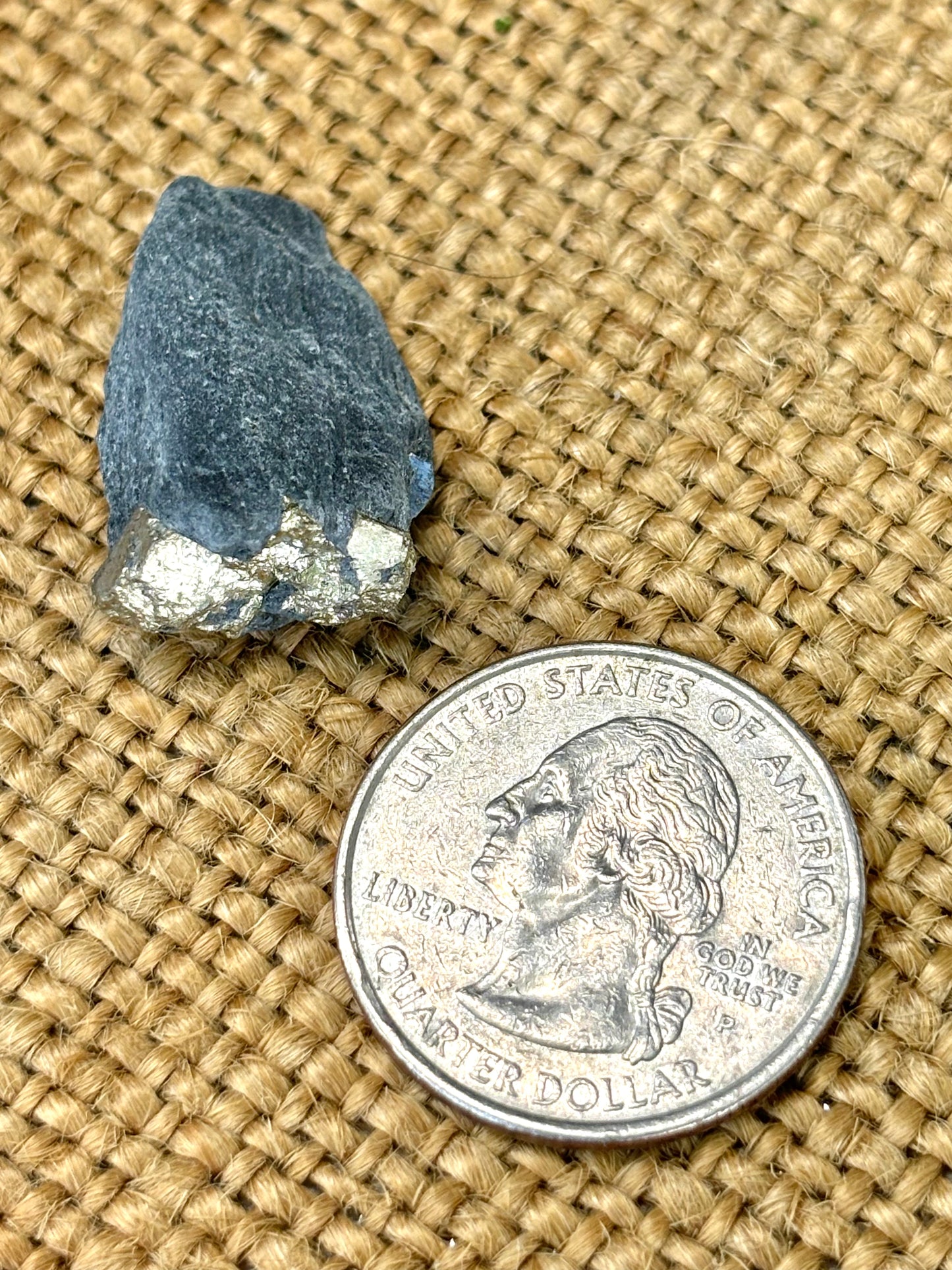 Natural Vermont Platinum Pyrite in Bedrock ~ Sourced in West Brookfield VT