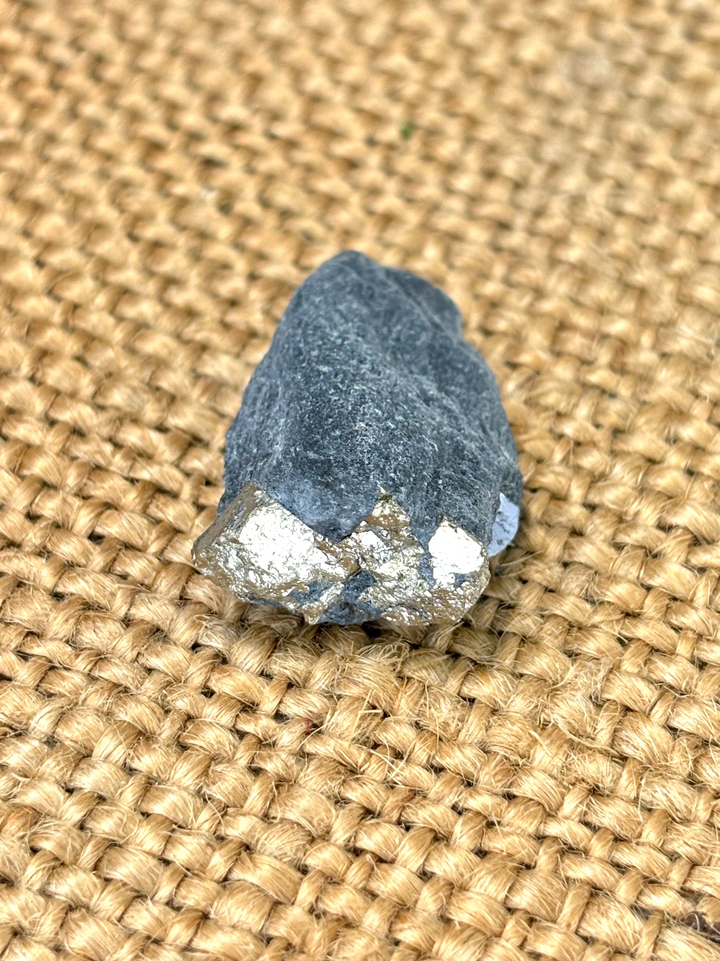 Natural Vermont Platinum Pyrite in Bedrock ~ Sourced in West Brookfield VT