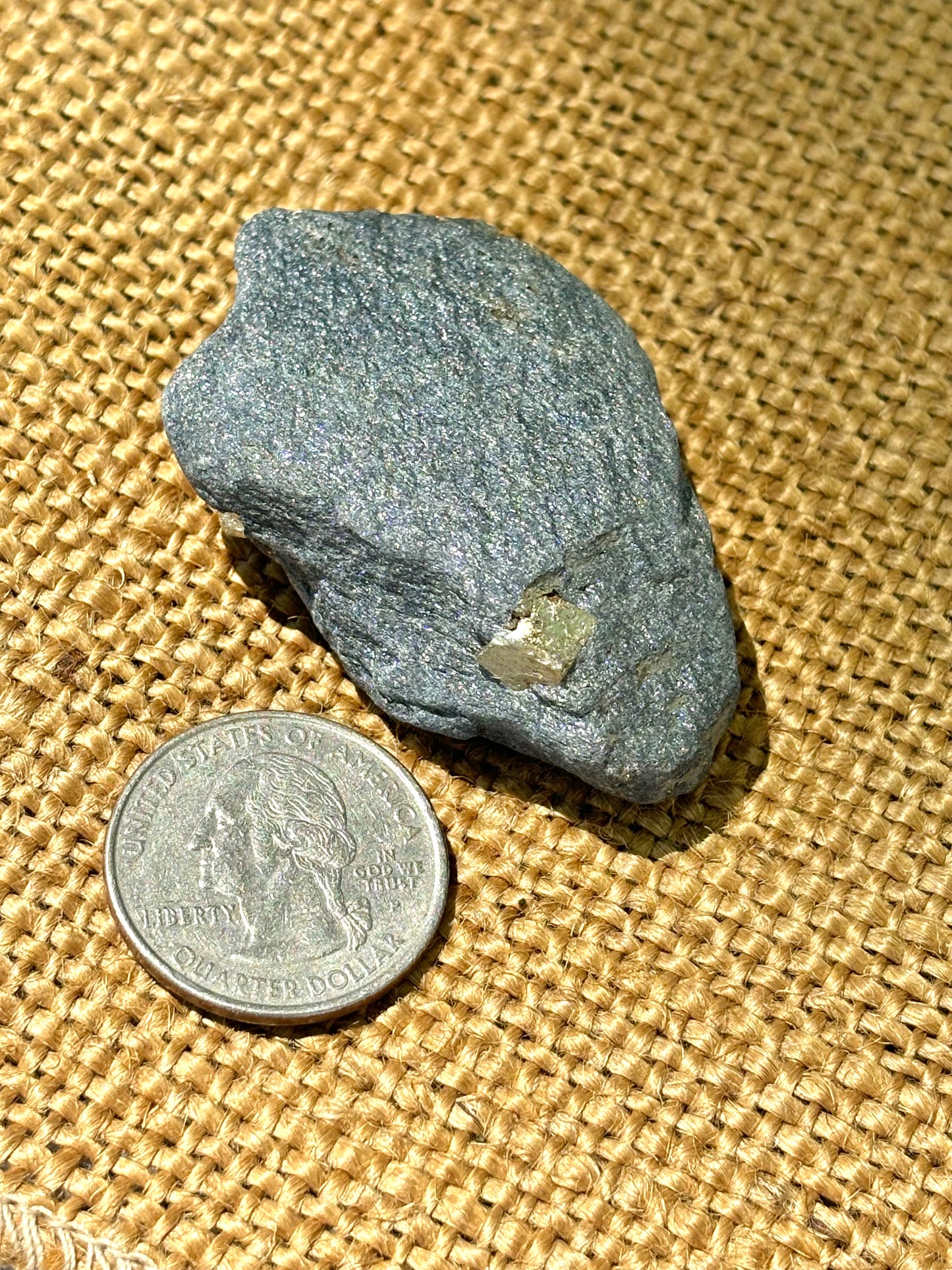 Natural Vermont Platinum Pyrite in Bedrock ~ Sourced in West Brookfield VT