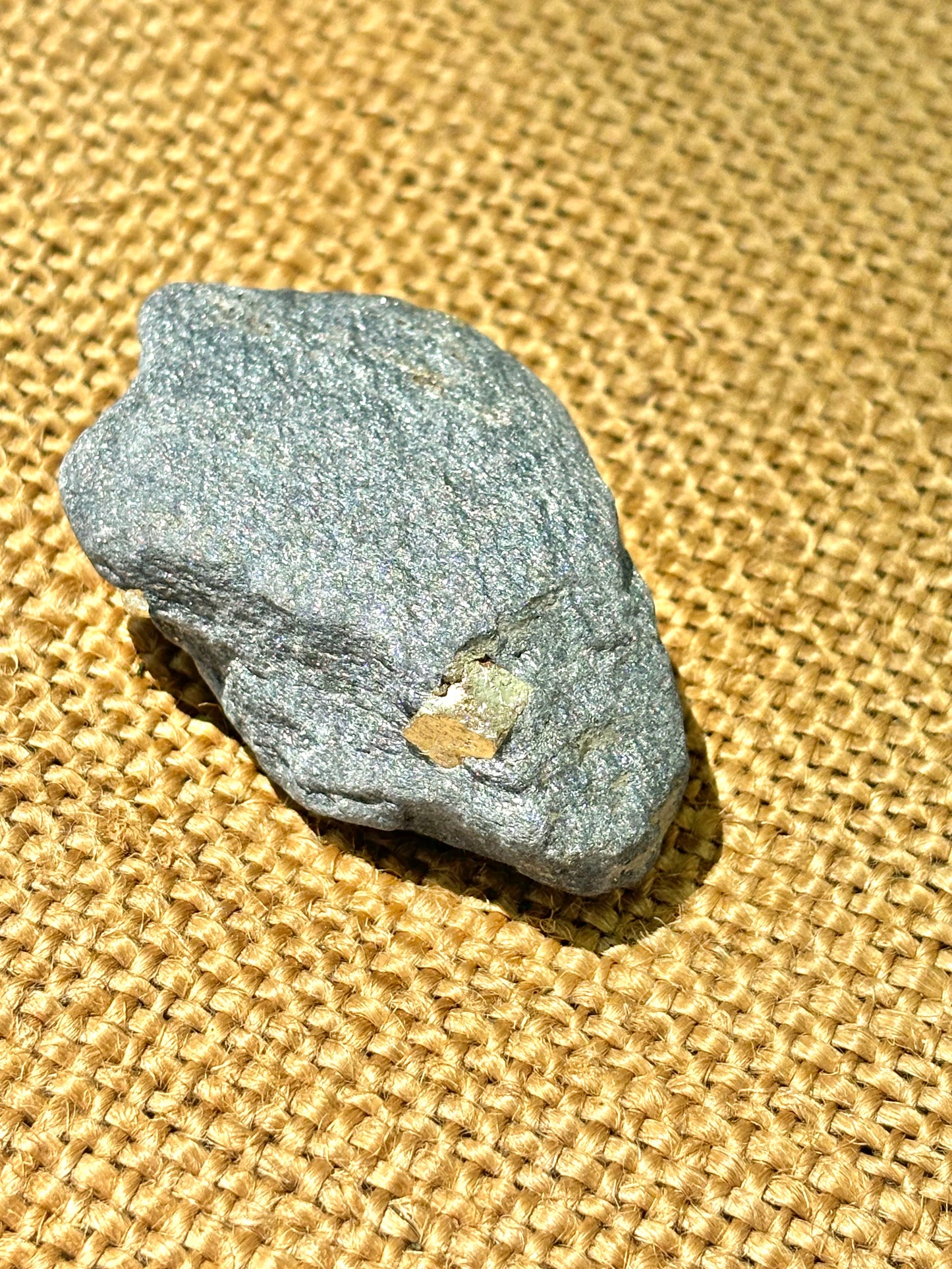 Natural Vermont Platinum Pyrite in Bedrock ~ Sourced in West Brookfield VT