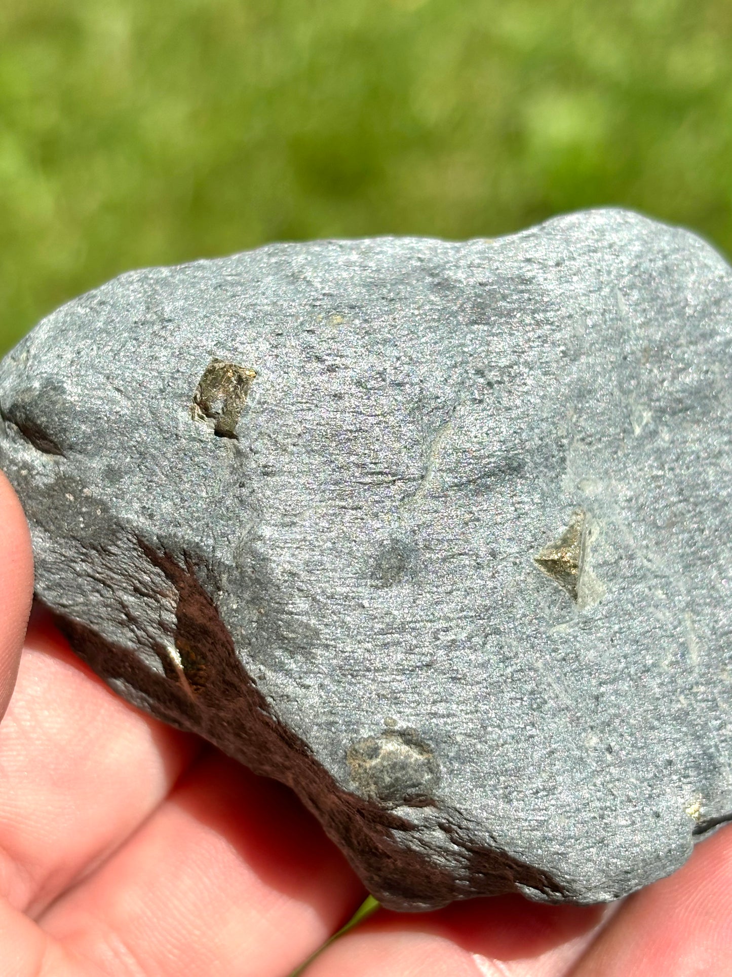 Natural Vermont Platinum Pyrite in Bedrock ~ Sourced in West Brookfield VT