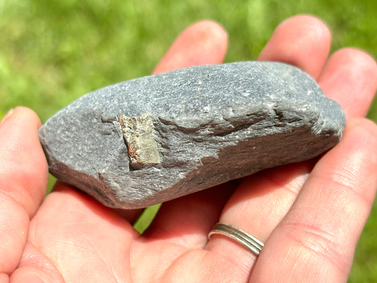 Natural Vermont Platinum Pyrite in Bedrock ~ Sourced in West Brookfield VT