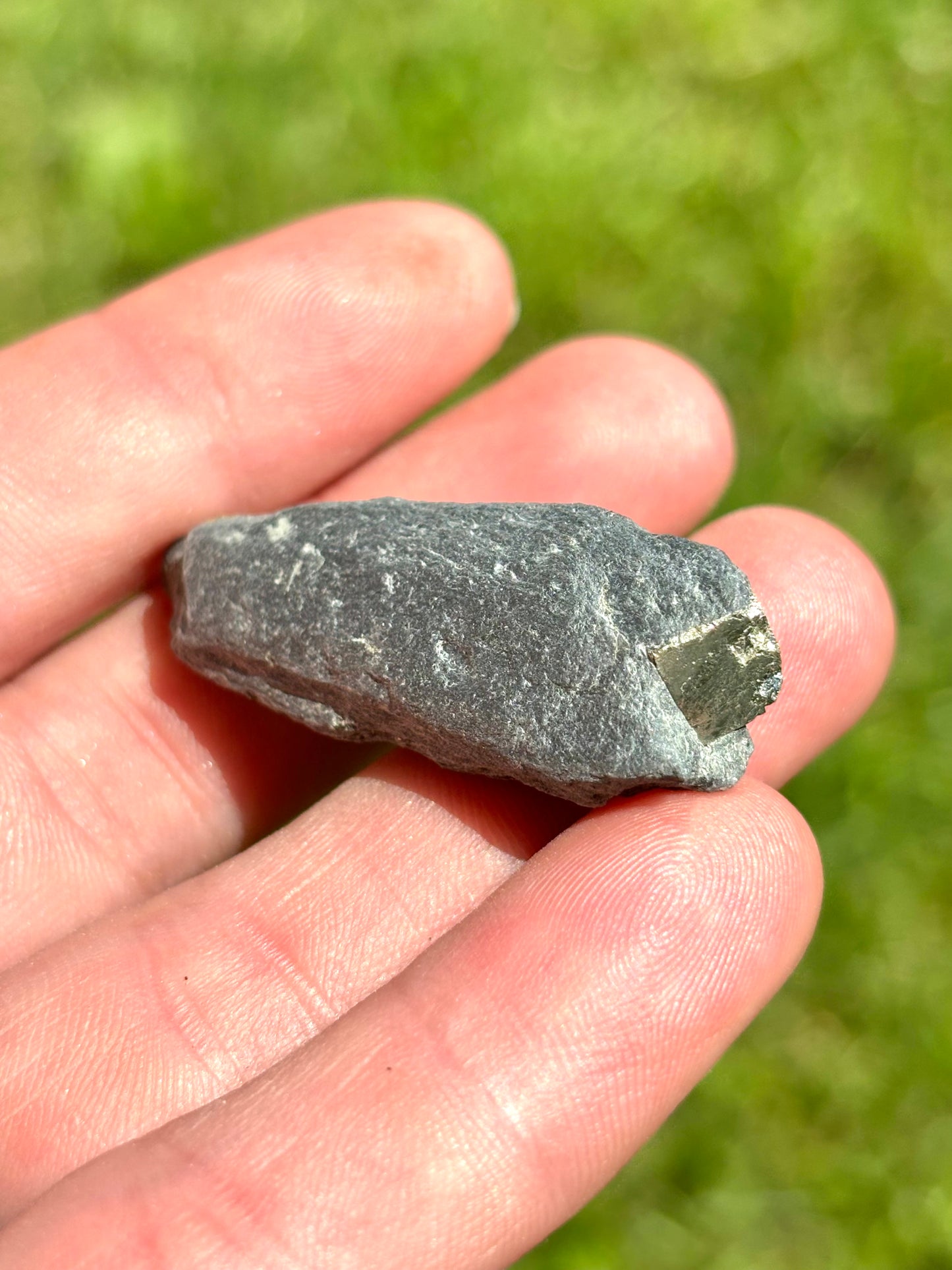 Natural Vermont Platinum Pyrite in Bedrock ~ Sourced in West Brookfield VT