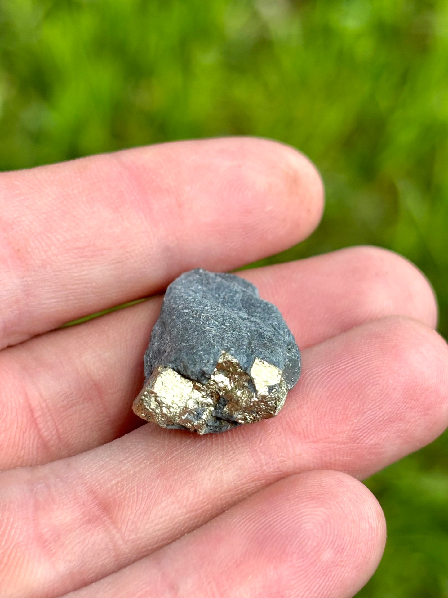 Natural Vermont Platinum Pyrite in Bedrock ~ Sourced in West Brookfield VT