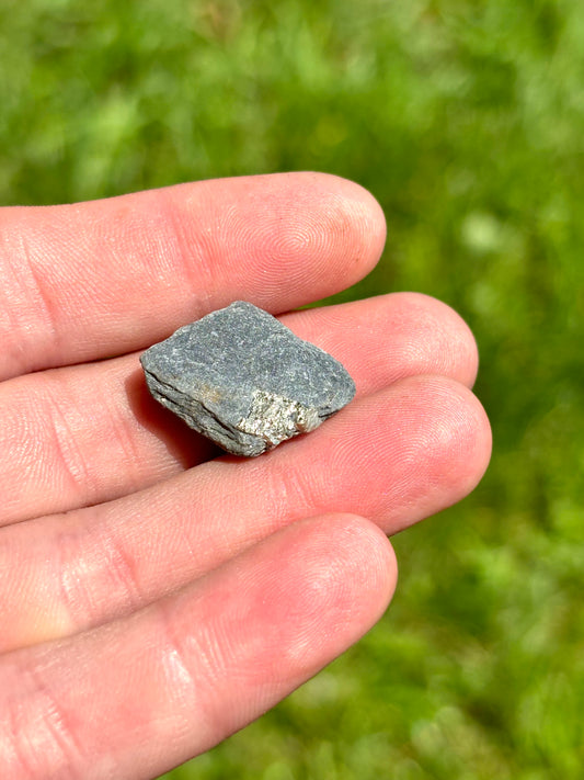 Natural Vermont Platinum Pyrite in Bedrock ~ Sourced in West Brookfield VT