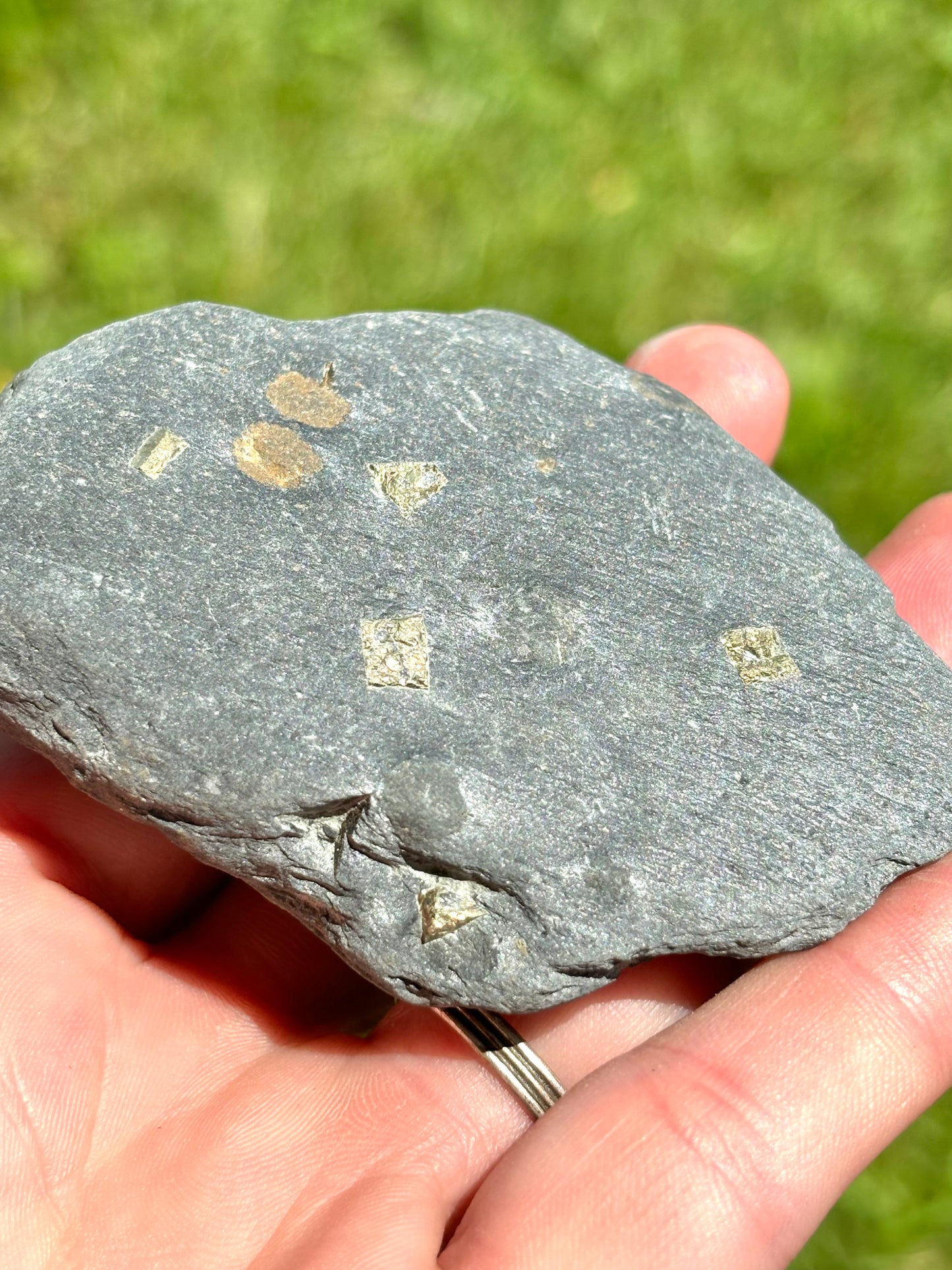 Natural Vermont Platinum Pyrite in Bedrock ~ Sourced in West Brookfield VT