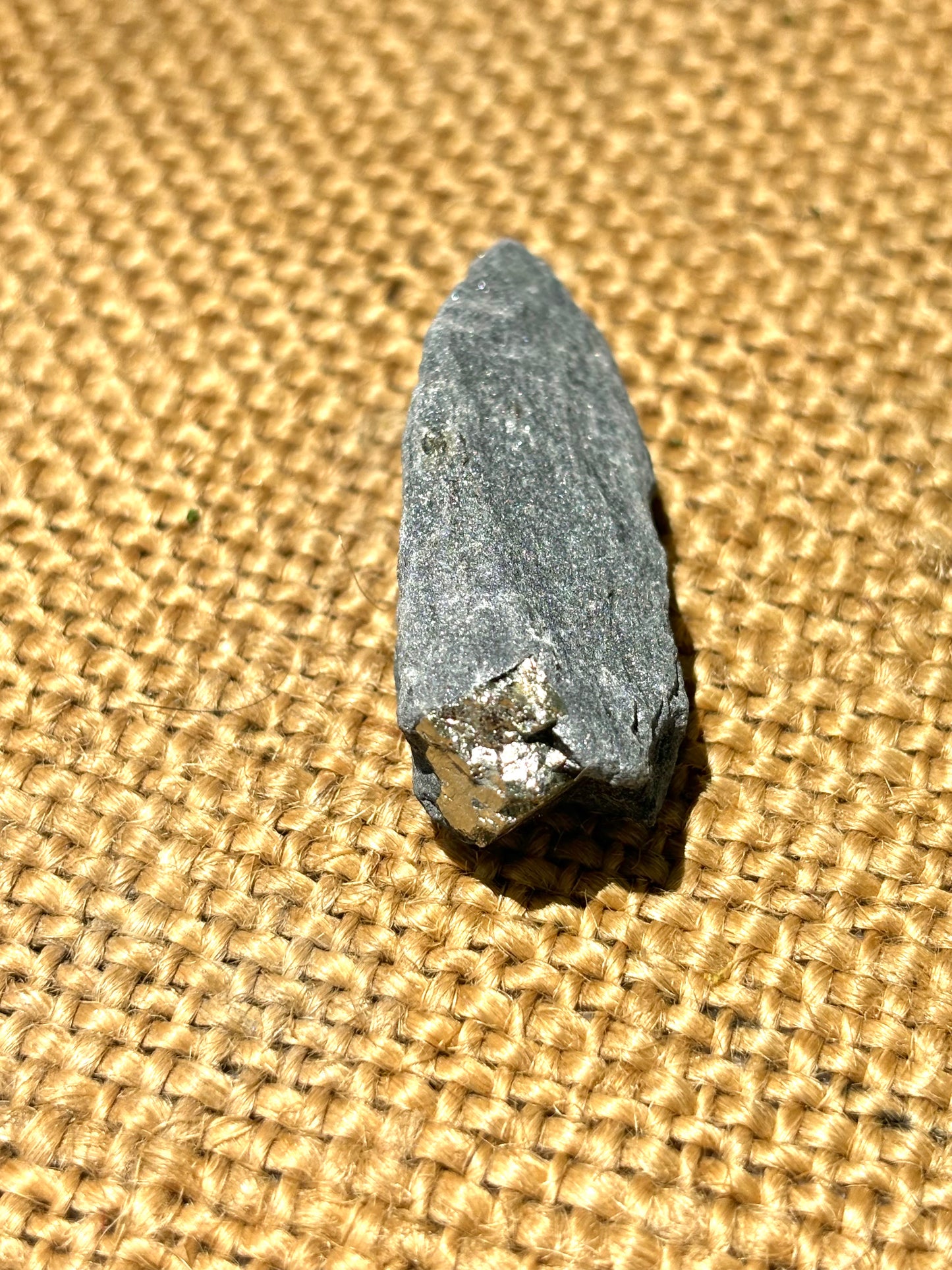 Natural Vermont Platinum Pyrite in Bedrock ~ Sourced in West Brookfield VT