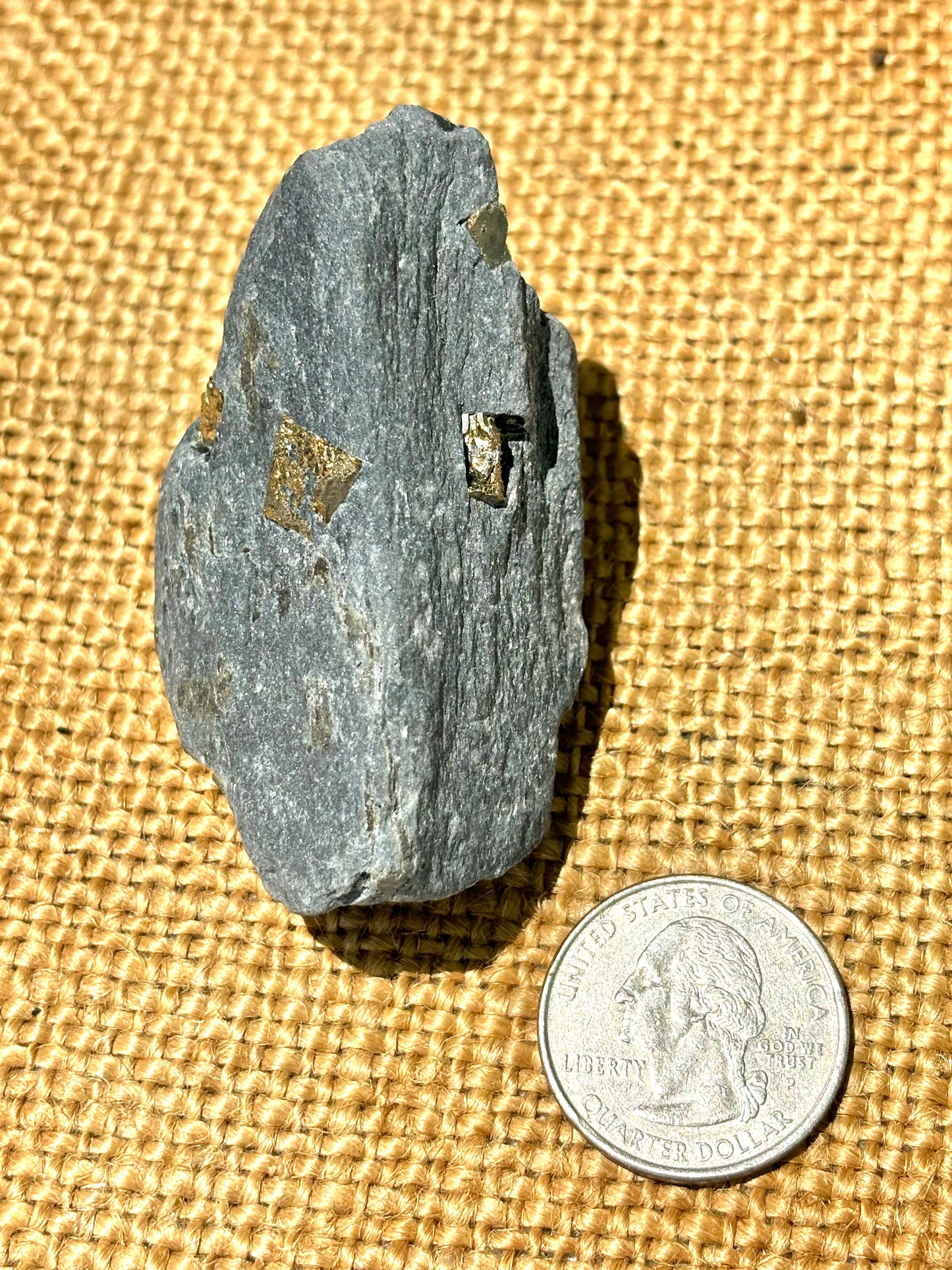 Natural Vermont Platinum Pyrite in Bedrock ~ Sourced in West Brookfield VT