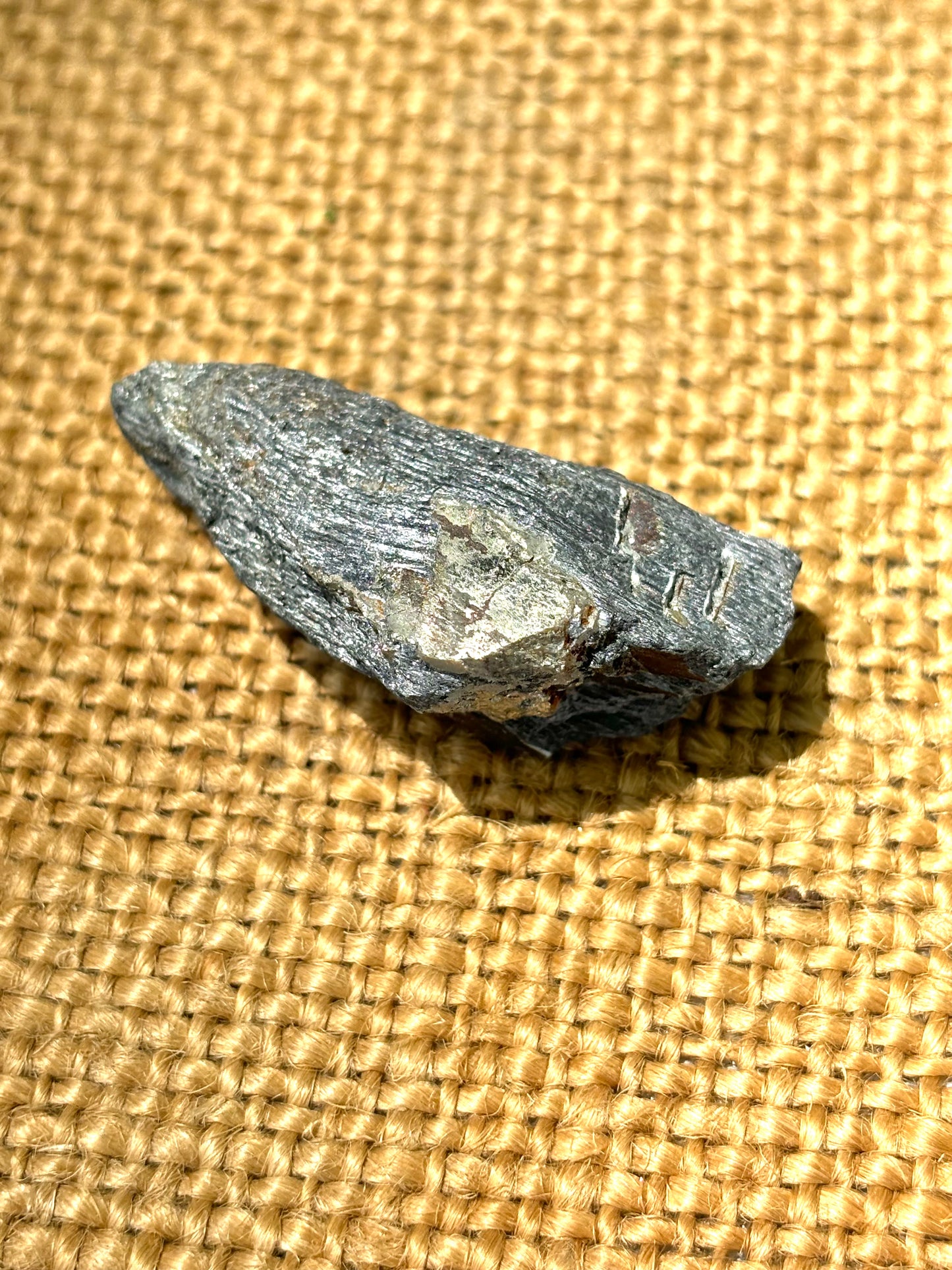 Natural Vermont Platinum Pyrite in Bedrock ~ Sourced in West Brookfield VT