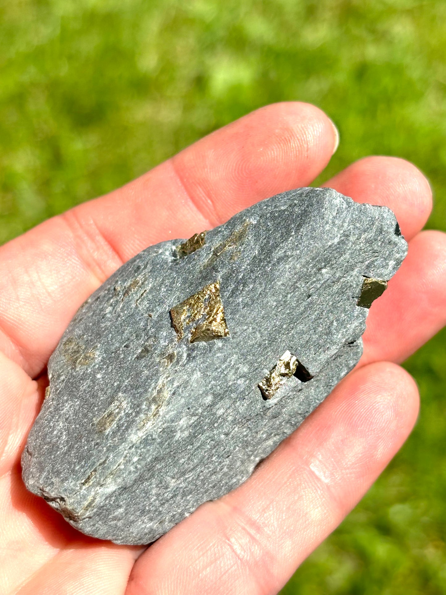 Natural Vermont Platinum Pyrite in Bedrock ~ Sourced in West Brookfield VT