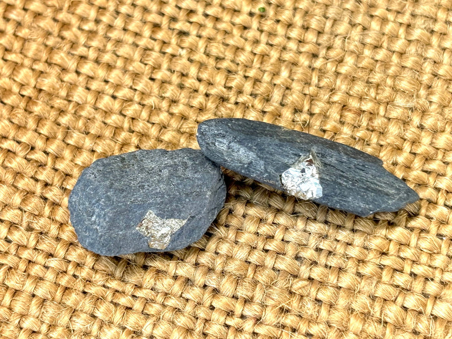 Natural Vermont Platinum Pyrite in Bedrock ~ Sourced in West Brookfield VT