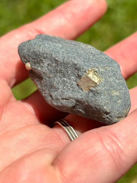 Natural Vermont Platinum Pyrite in Bedrock ~ Sourced in West Brookfield VT