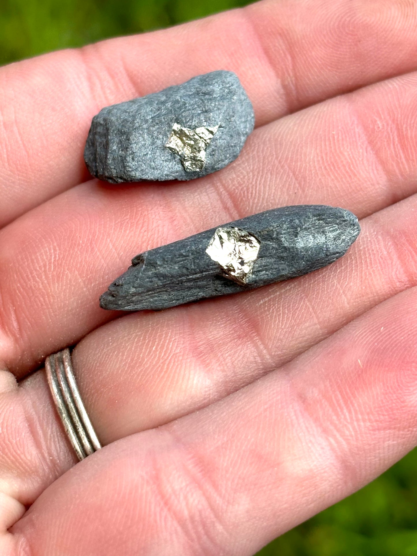 Natural Vermont Platinum Pyrite in Bedrock ~ Sourced in West Brookfield VT