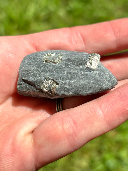 Natural Vermont Platinum Pyrite in Bedrock ~ Sourced in West Brookfield VT