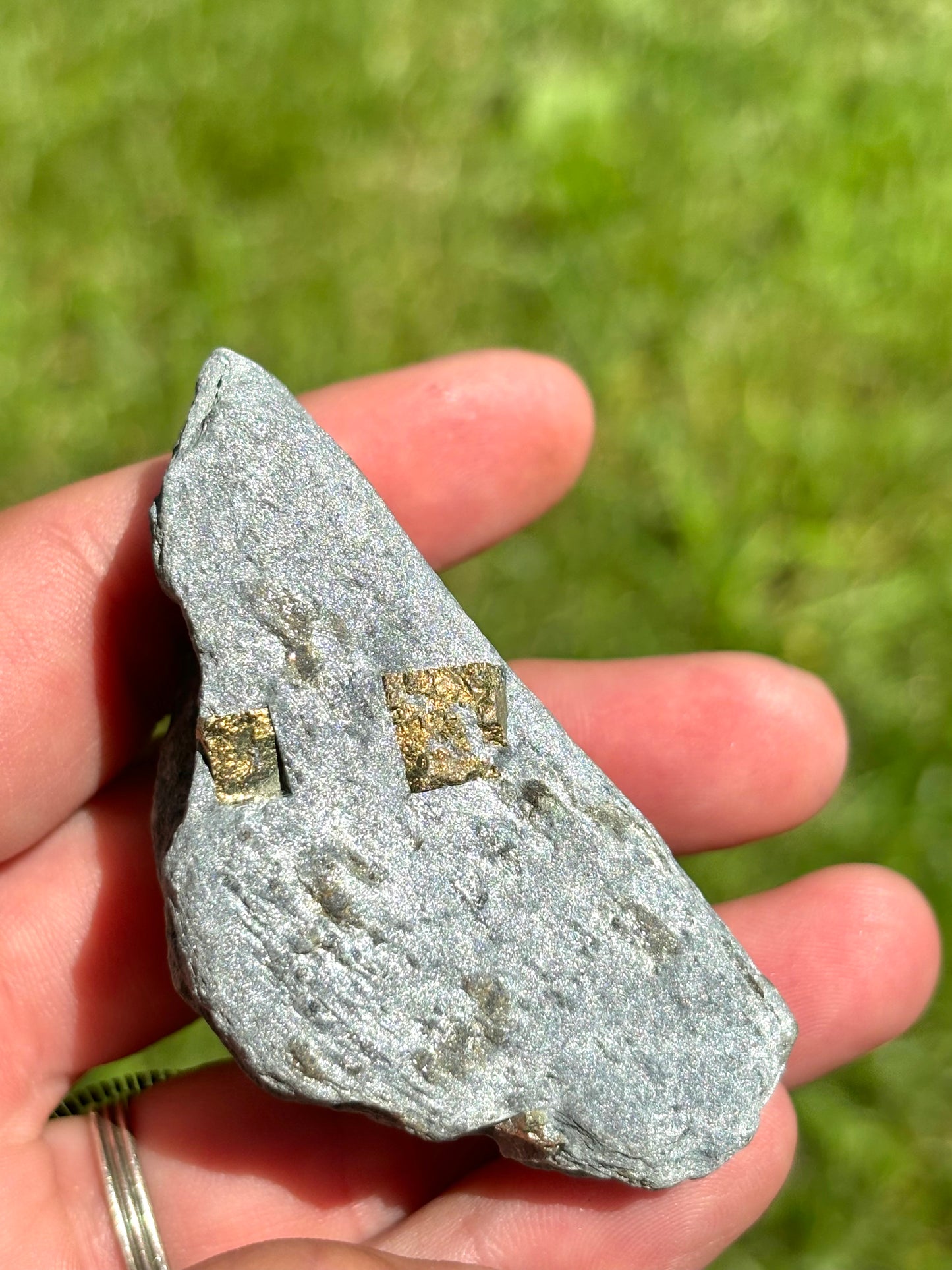 Natural Vermont Platinum Pyrite in Bedrock ~ Sourced in West Brookfield VT