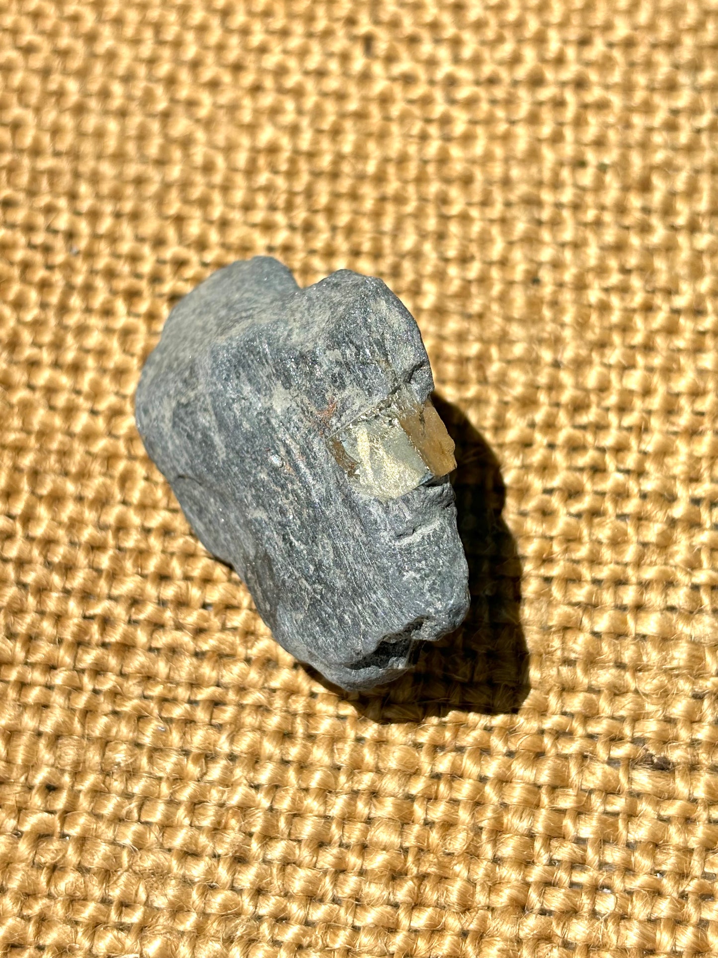 Natural Vermont Platinum Pyrite in Bedrock ~ Sourced in West Brookfield VT