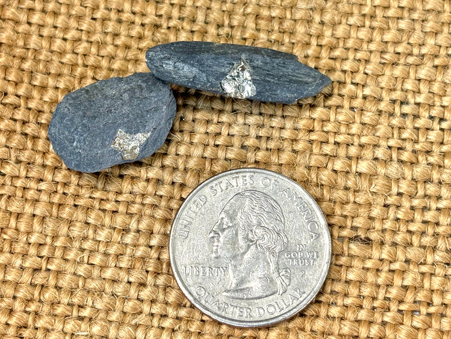 Natural Vermont Platinum Pyrite in Bedrock ~ Sourced in West Brookfield VT