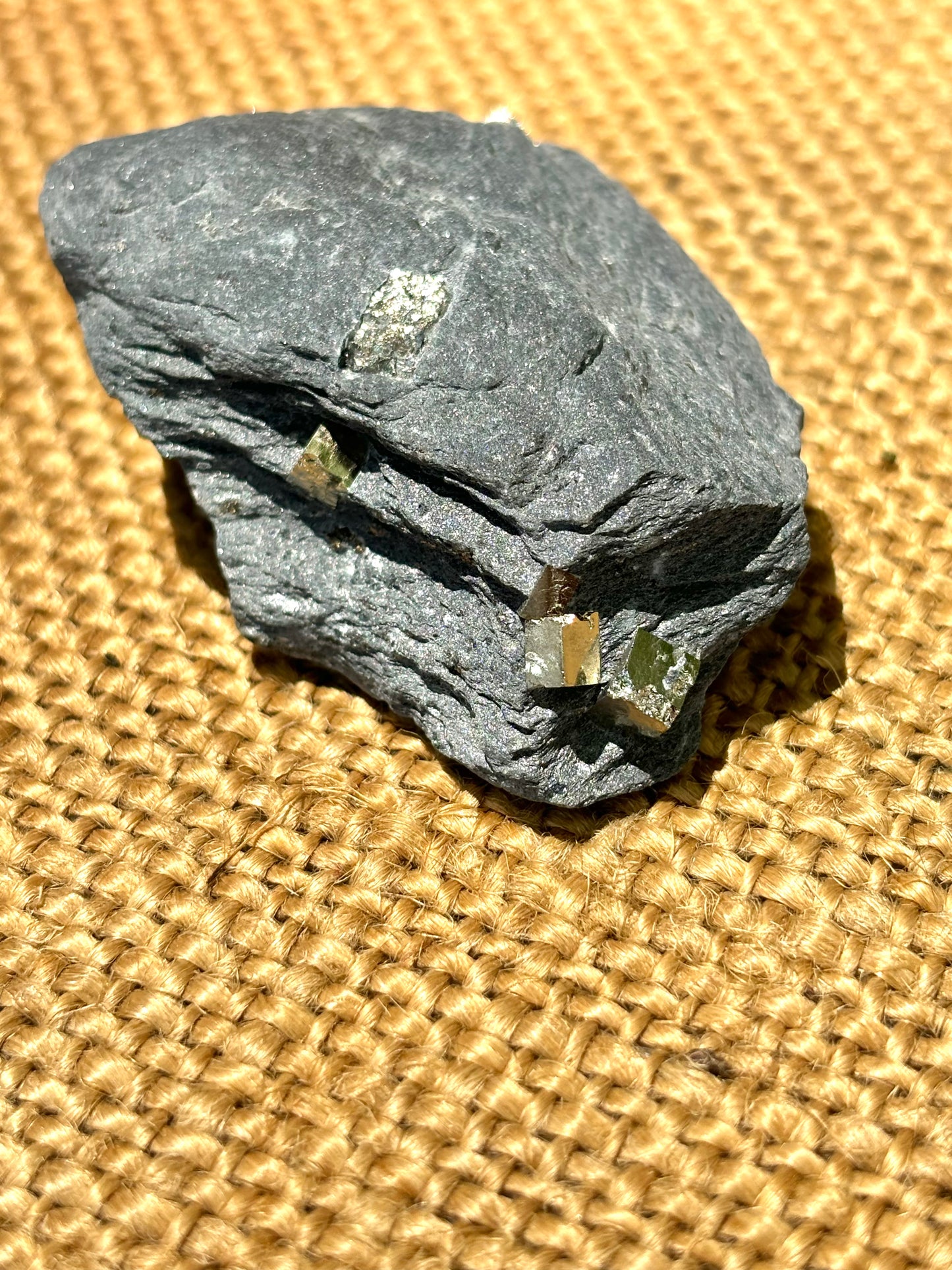 Natural Vermont Platinum Pyrite in Bedrock ~ Sourced in West Brookfield VT