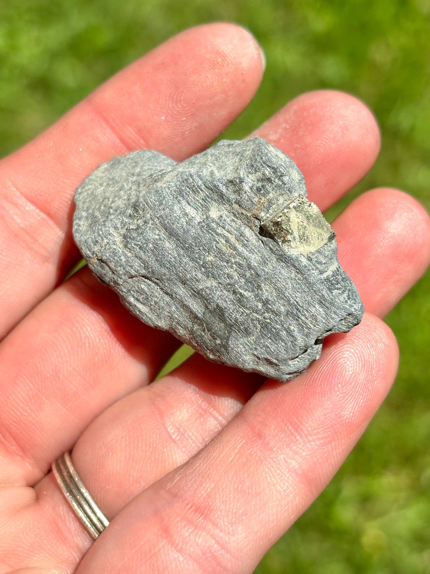 Natural Vermont Platinum Pyrite in Bedrock ~ Sourced in West Brookfield VT