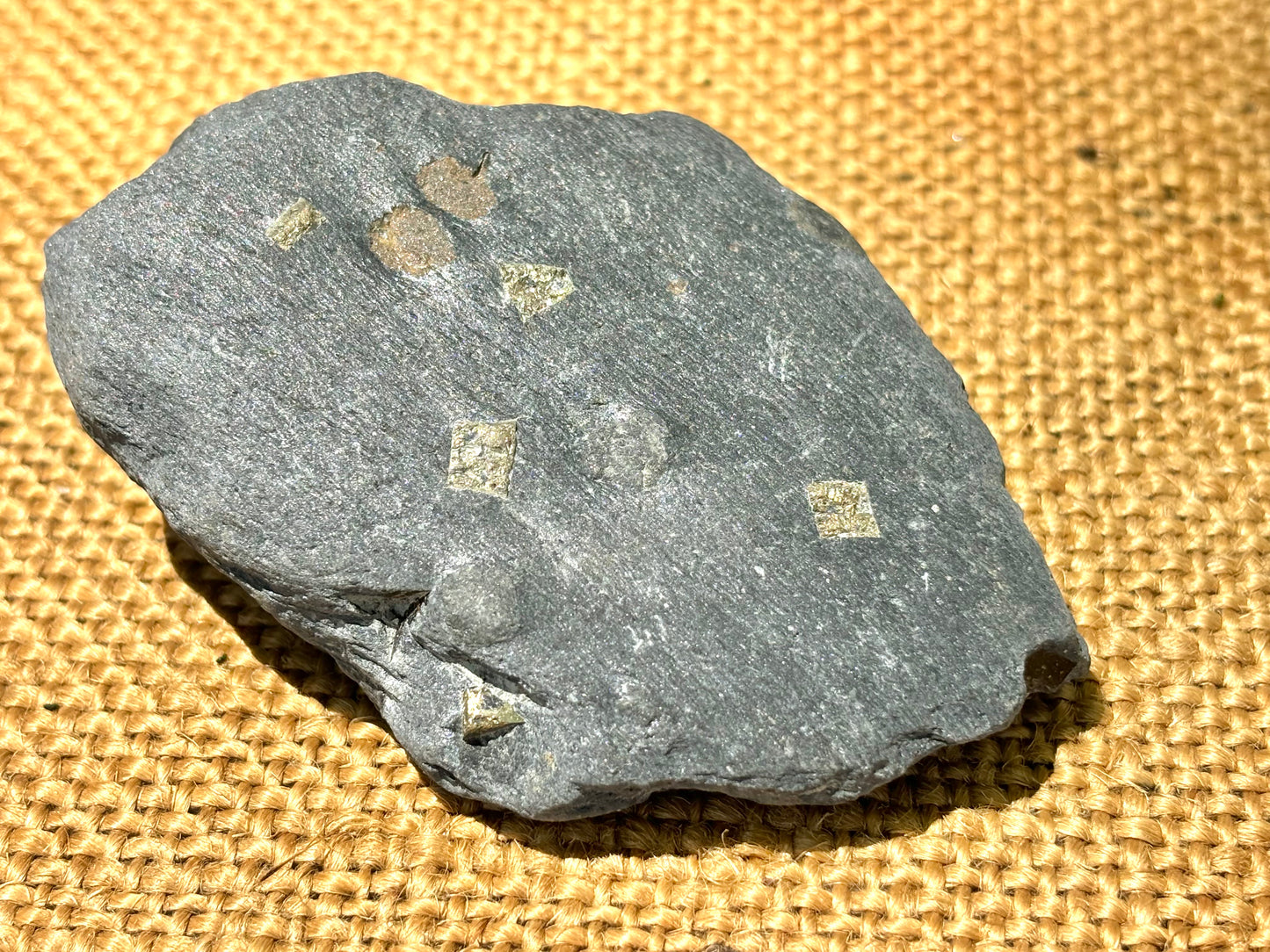 Natural Vermont Platinum Pyrite in Bedrock ~ Sourced in West Brookfield VT