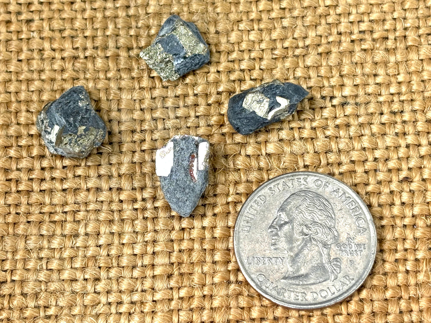 Natural Vermont Platinum Pyrite in Bedrock ~ Sourced in West Brookfield VT