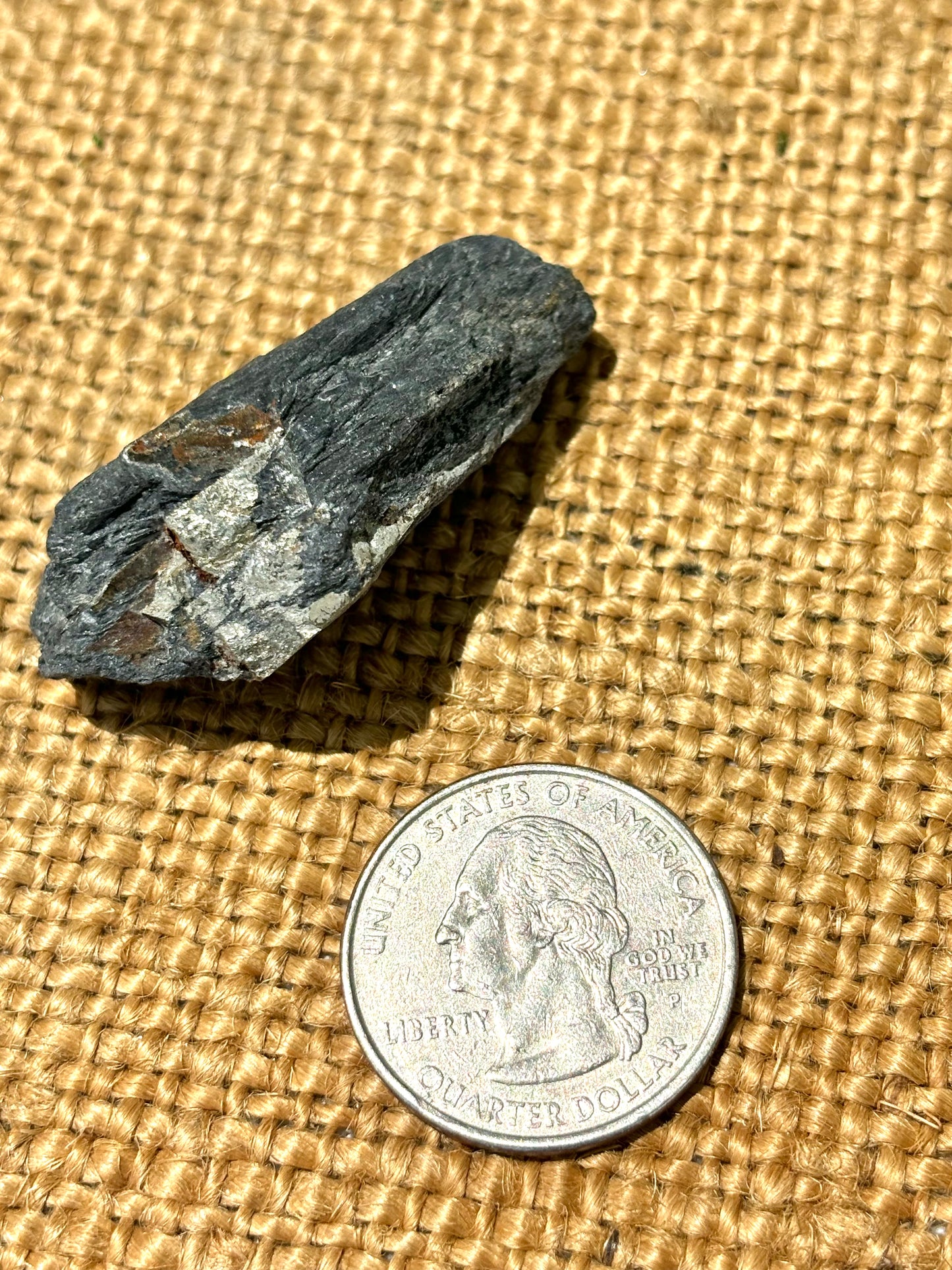 Natural Vermont Platinum Pyrite in Bedrock ~ Sourced in West Brookfield VT