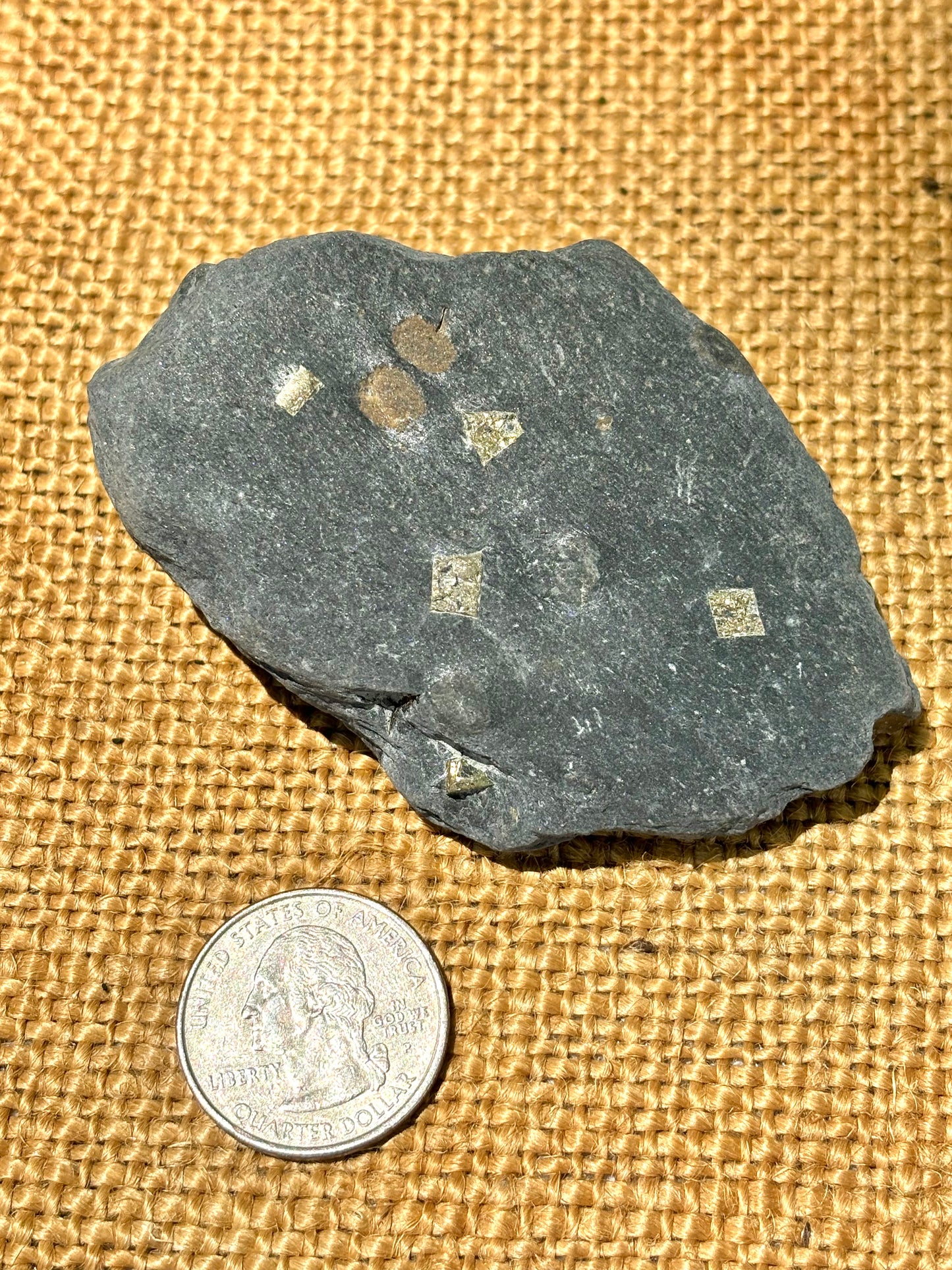 Natural Vermont Platinum Pyrite in Bedrock ~ Sourced in West Brookfield VT