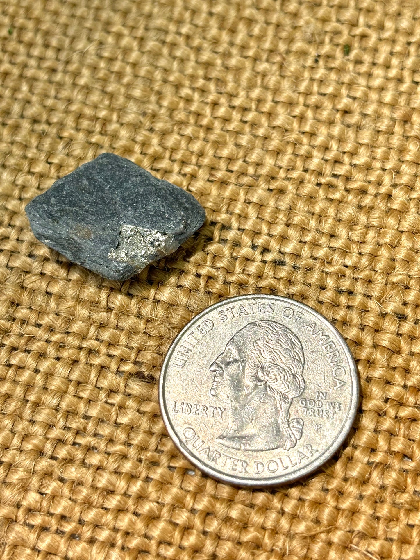 Natural Vermont Platinum Pyrite in Bedrock ~ Sourced in West Brookfield VT